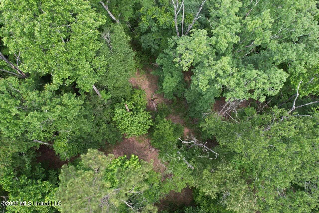 15 Acres with Pond & Homesite in Liberty, MS