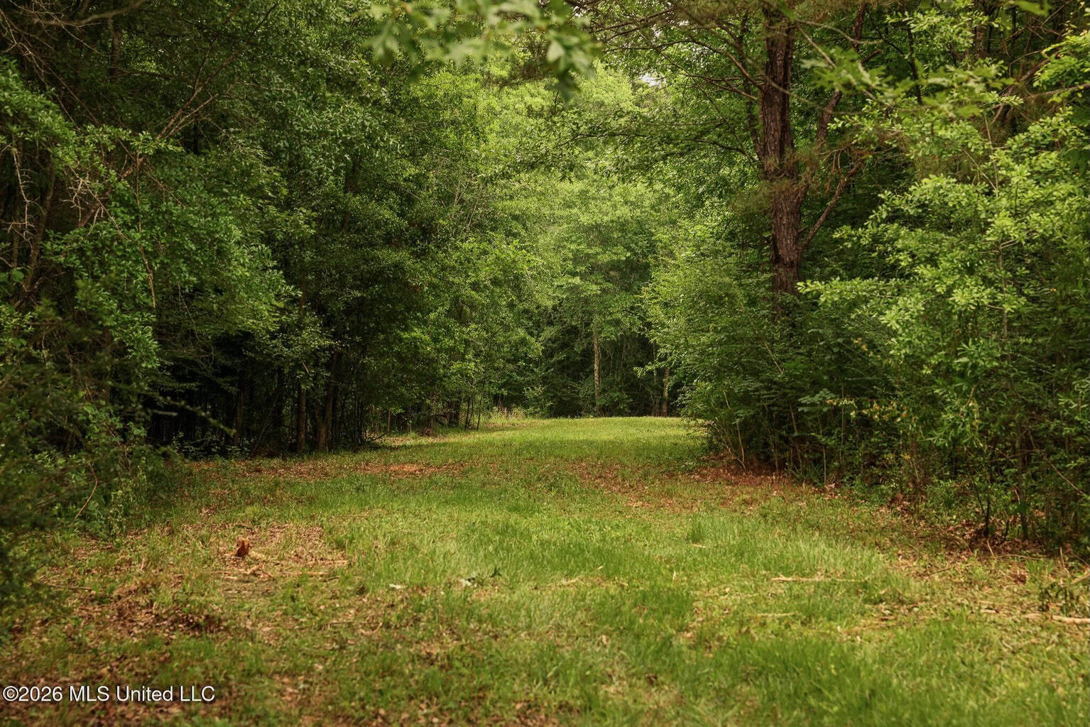 Land for Sale in Amite County, MS