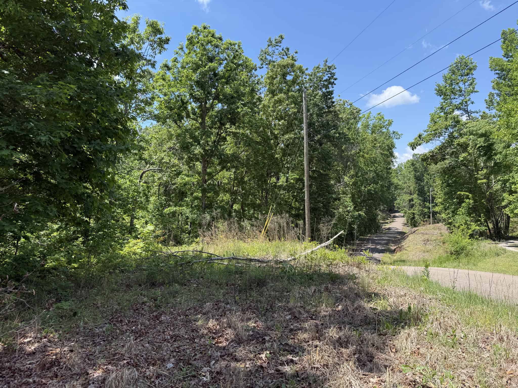 WOODED LAND, ROLLING HILLS NEAR PICKWICK LAKE