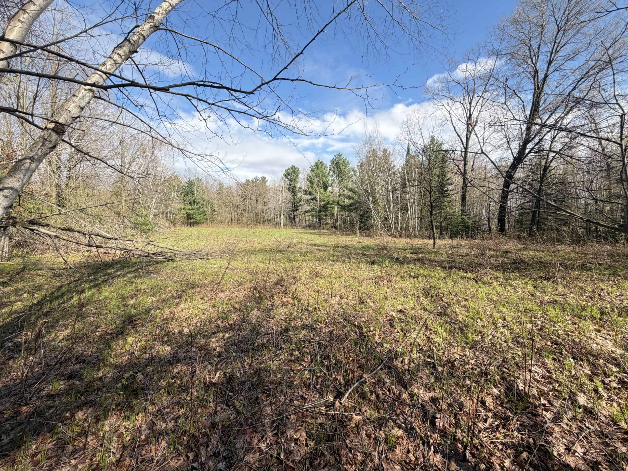 Portage County 40 Acre Hunting and Rec Property for Sale