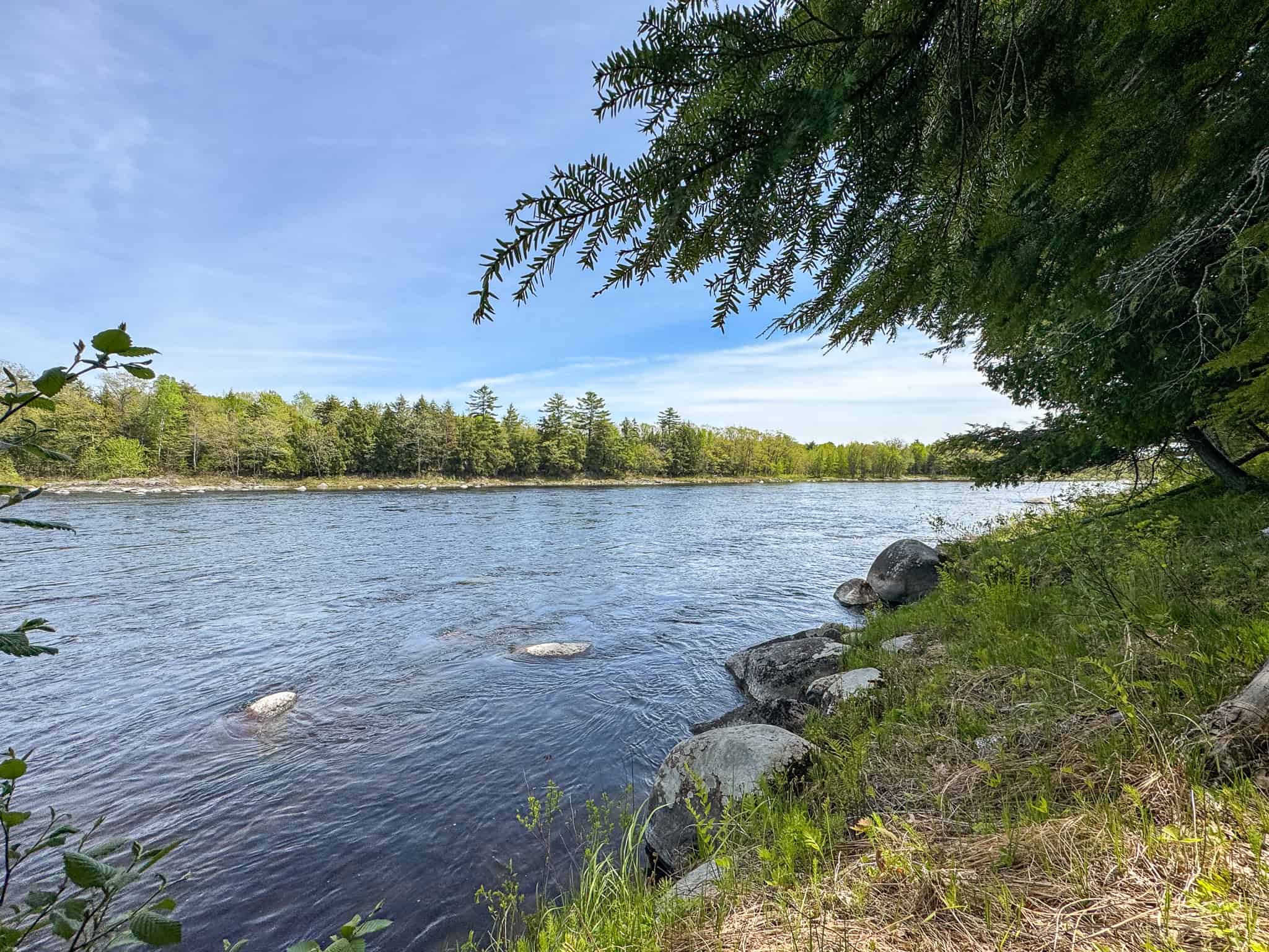 Maine River Property – 40.18 Acres – Woodville