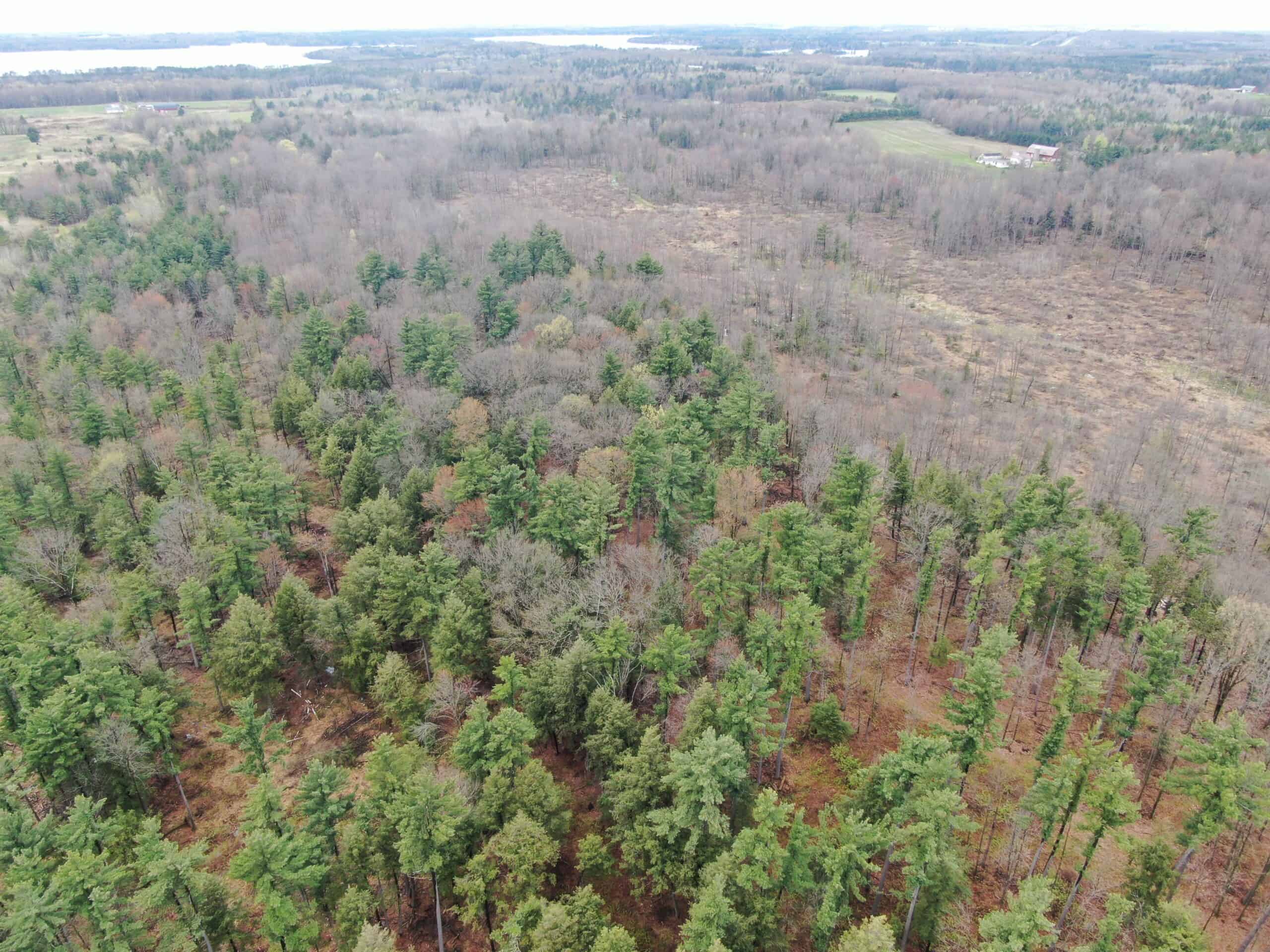 120 acres located in the Town of Dewey, Portage County, WI