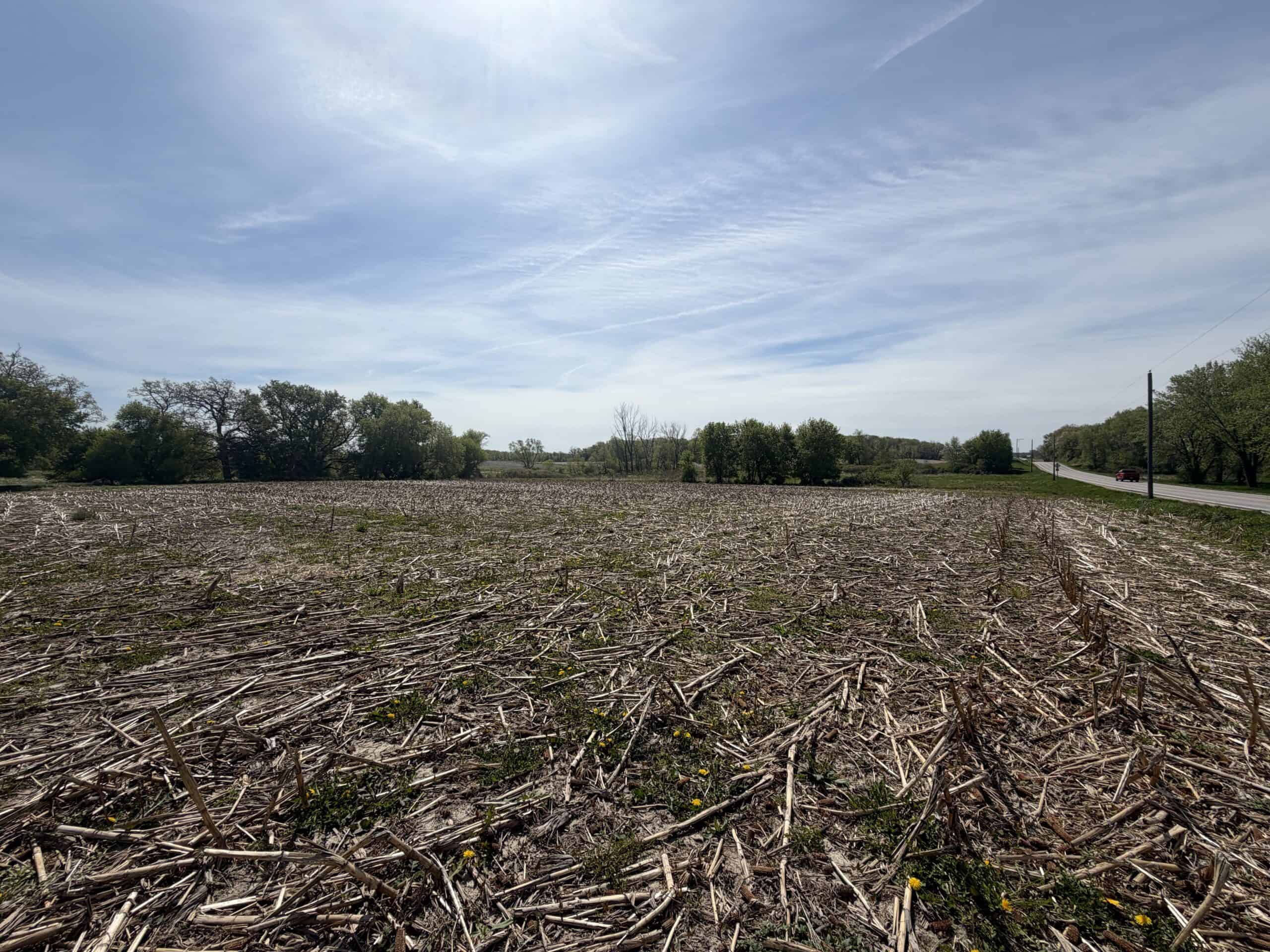 74 Acres in Dane County Town of York Rec, Hunting and Build Site for Sale