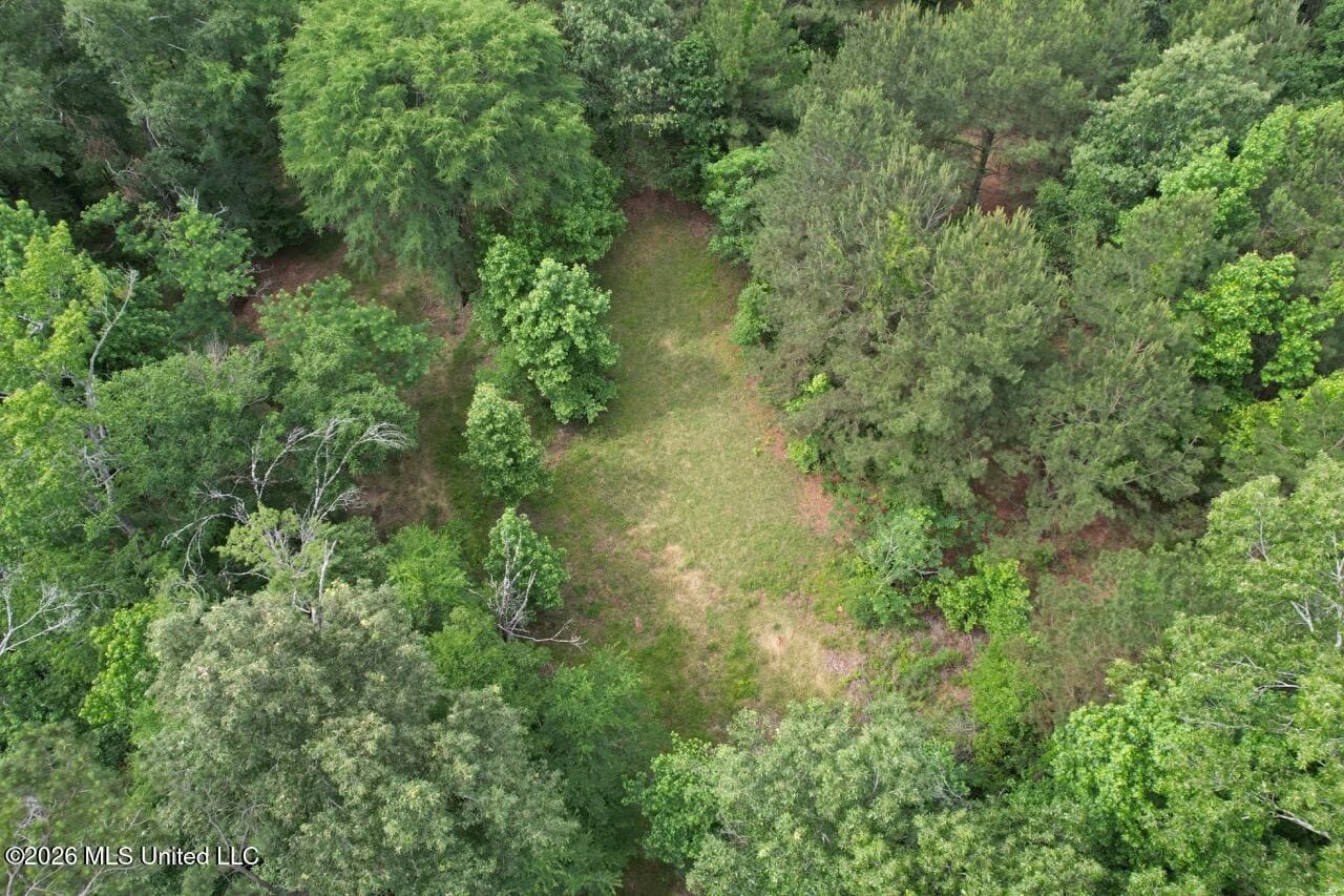 15 Acres with Pond & Homesite in Liberty, MS