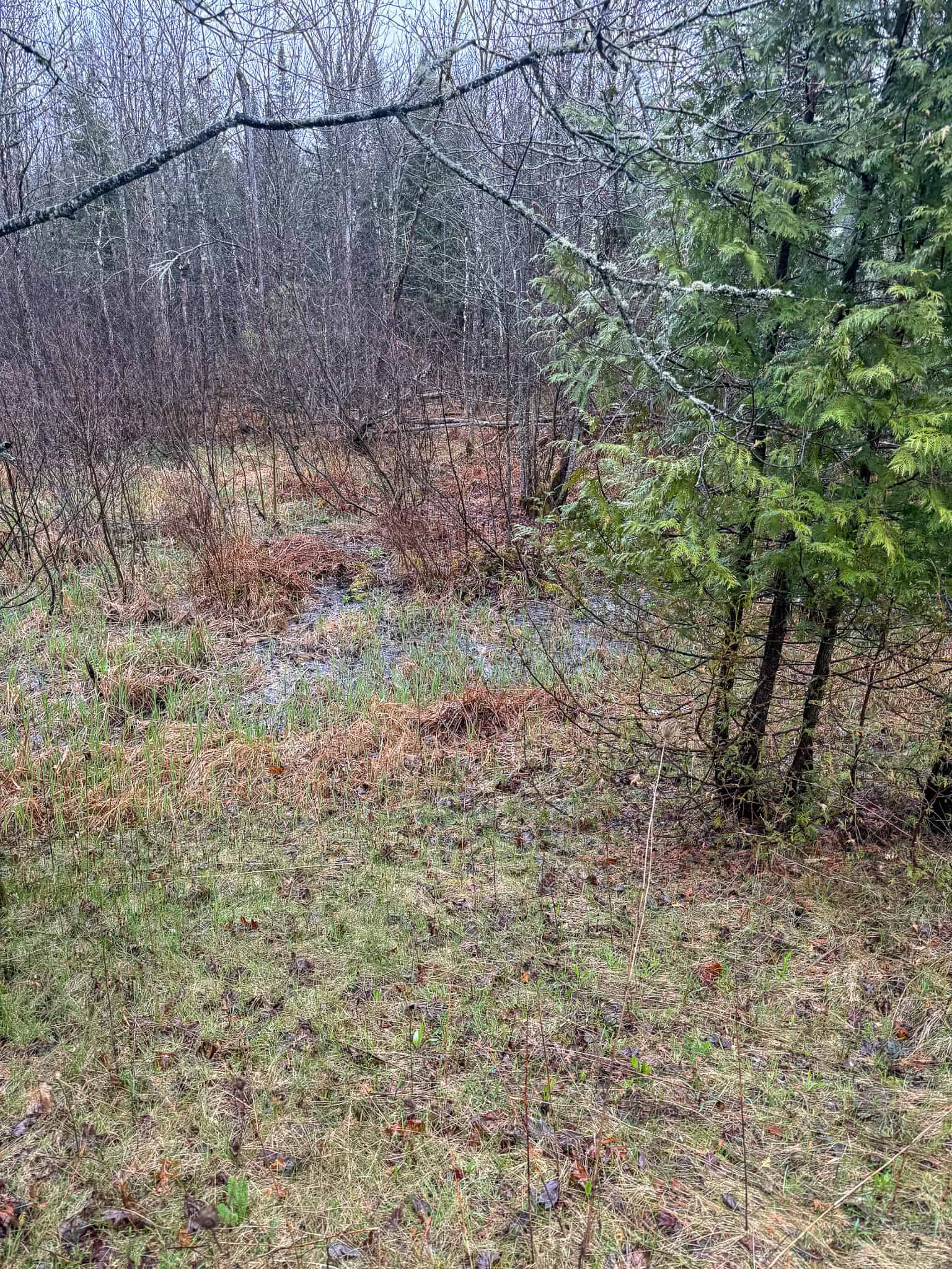 19 Acre Recreational Property – Detroit, Maine
