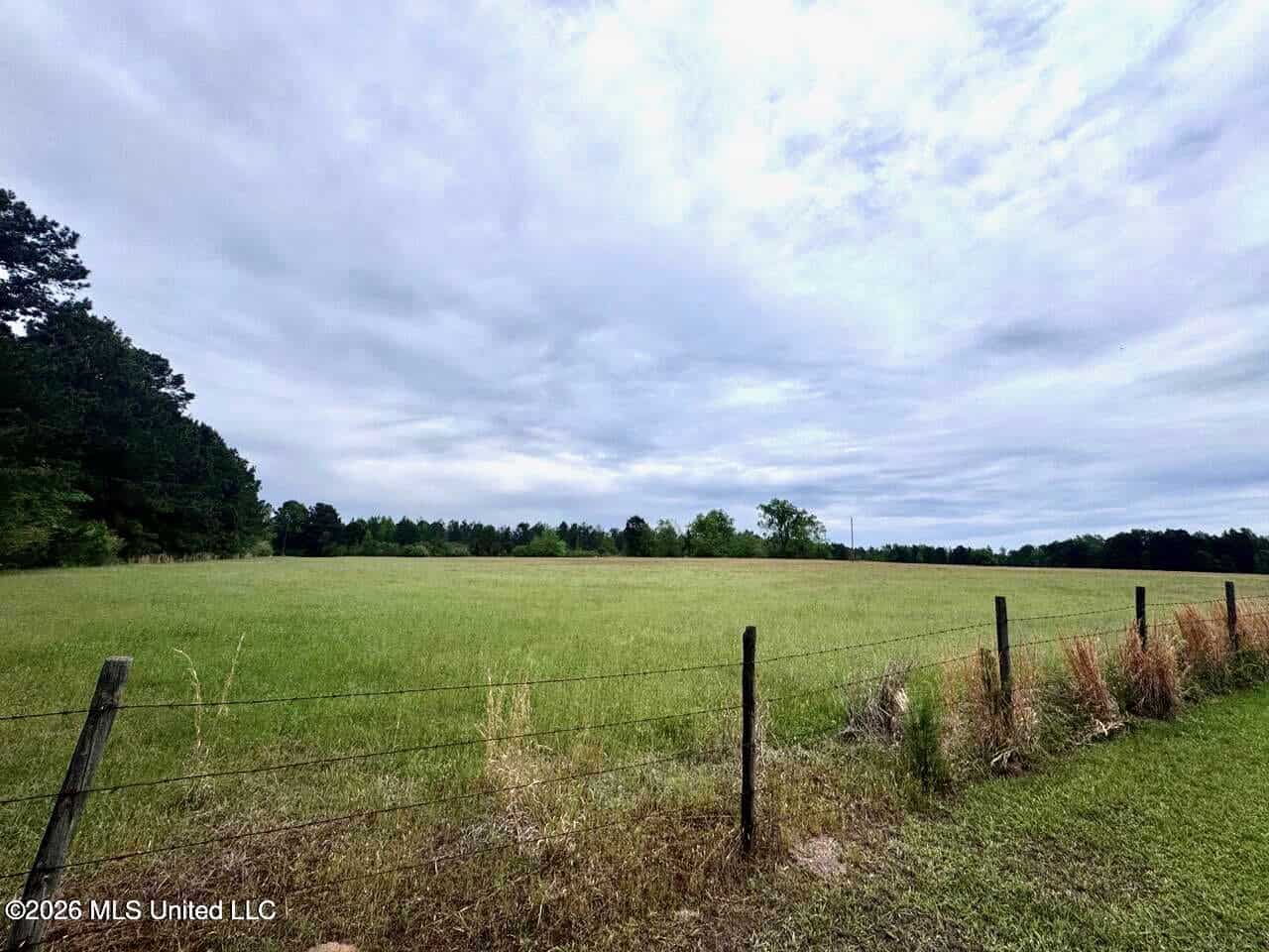 160 Acre in Bienville Parish Near Arcadia, Louisiana
