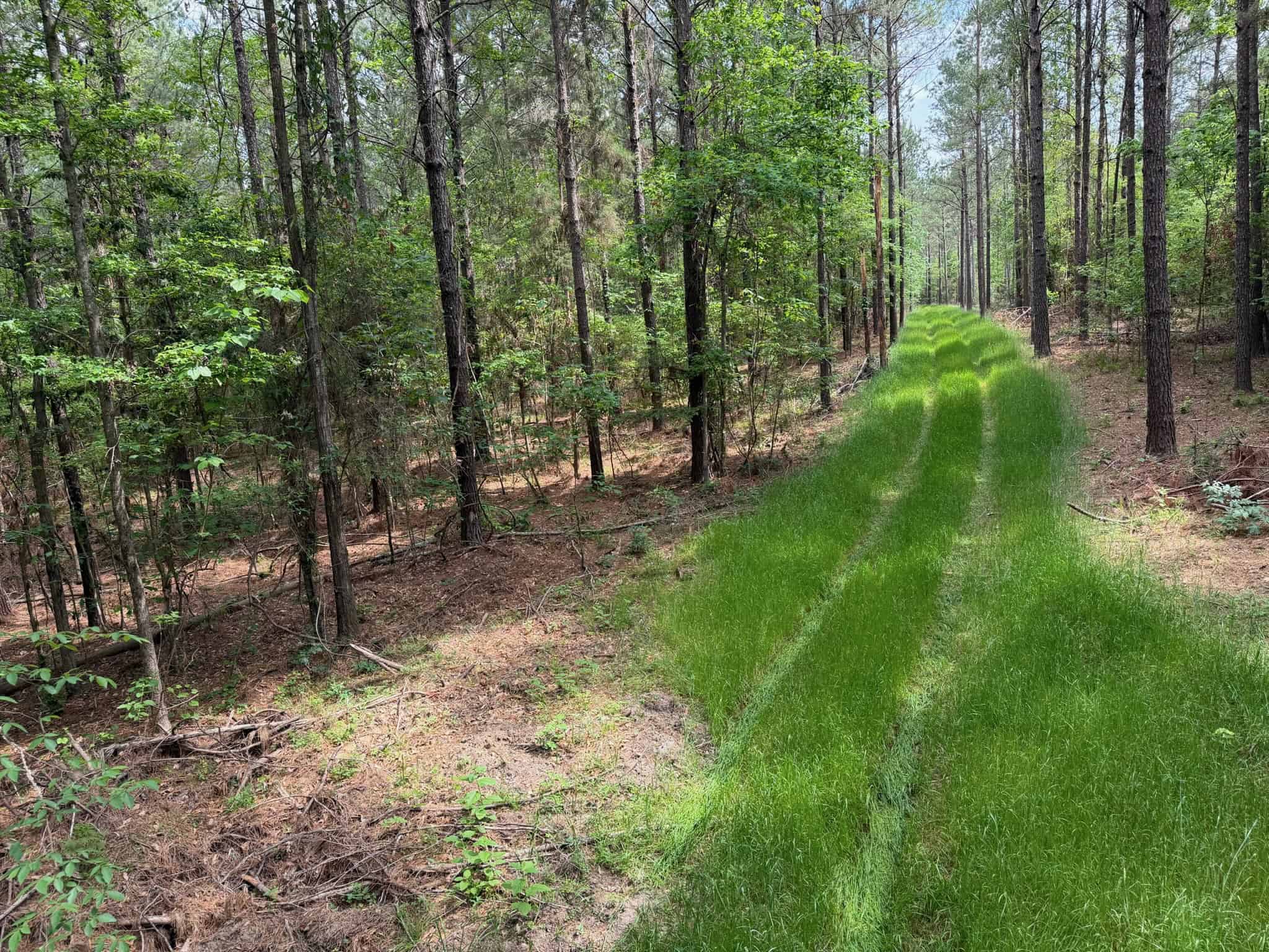 Saline Lake Hunting Property and Lodge Winn Parish LA
