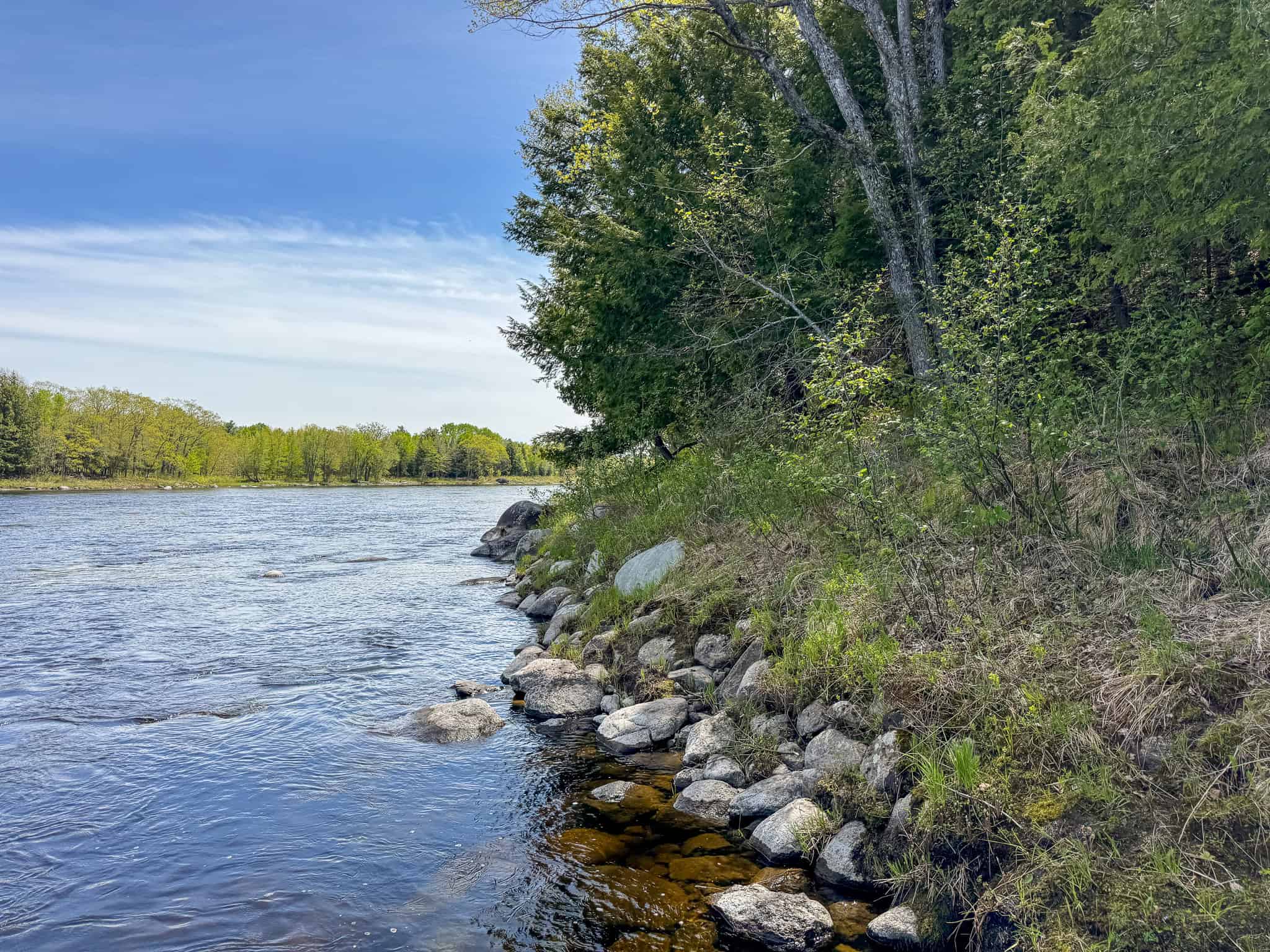 Maine River Property – 40.18 Acres – Woodville