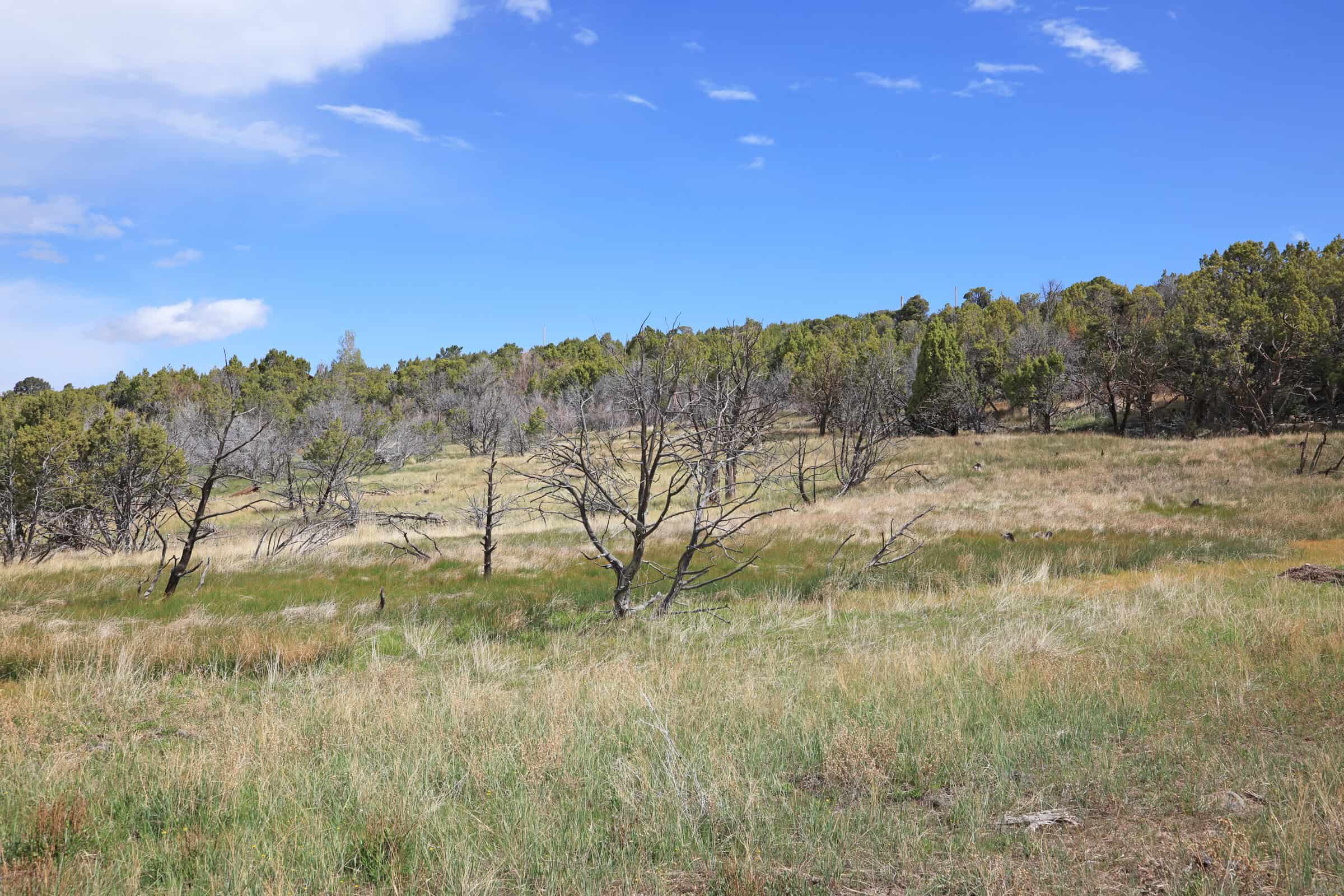 Vacant Land For Sale in Western Colorado with Tiny Home Included
