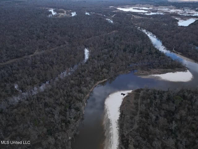 470 Acres on Calcasieu River in Allen Parish, LA