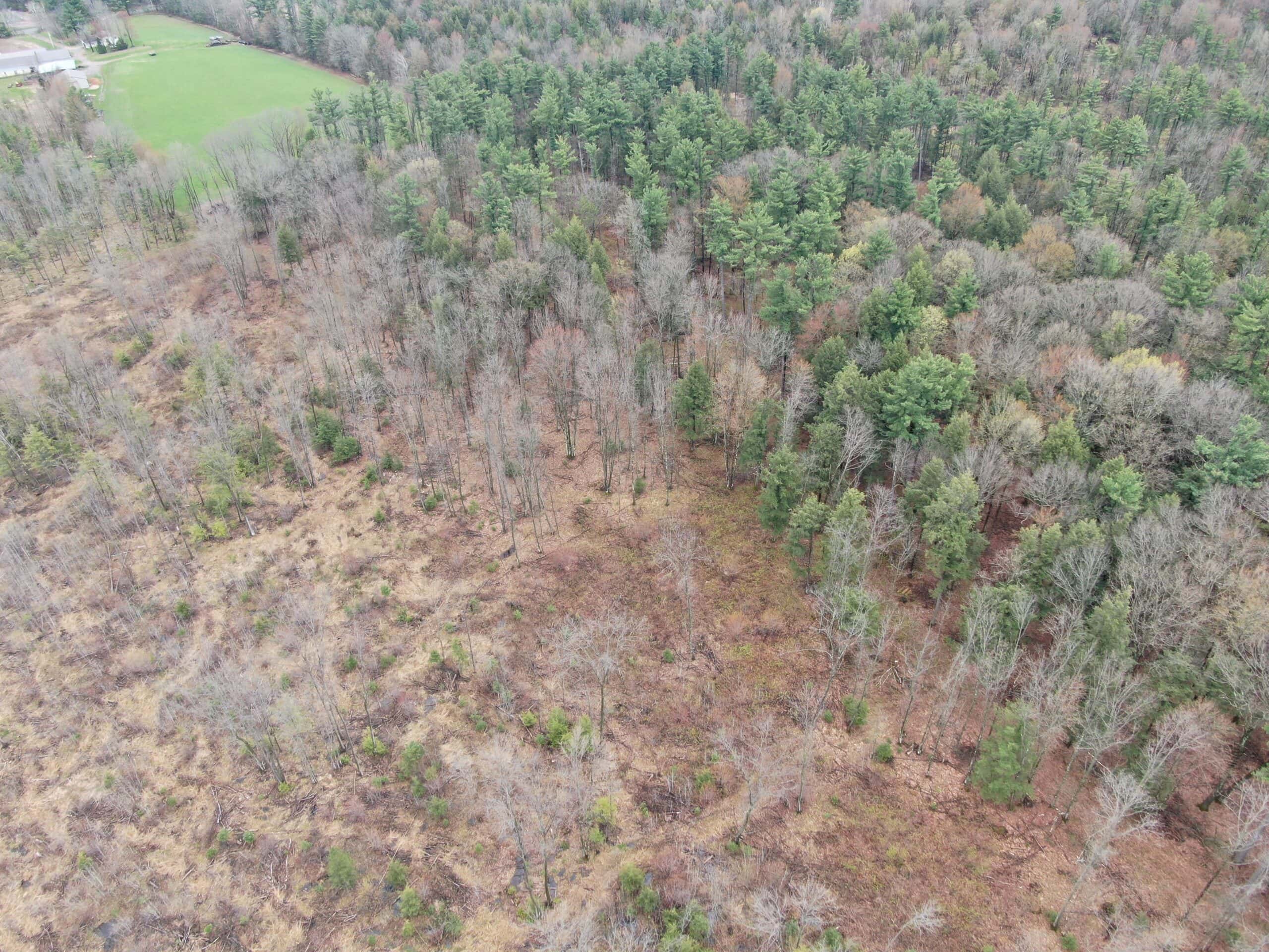 120 acres located in the Town of Dewey, Portage County, WI