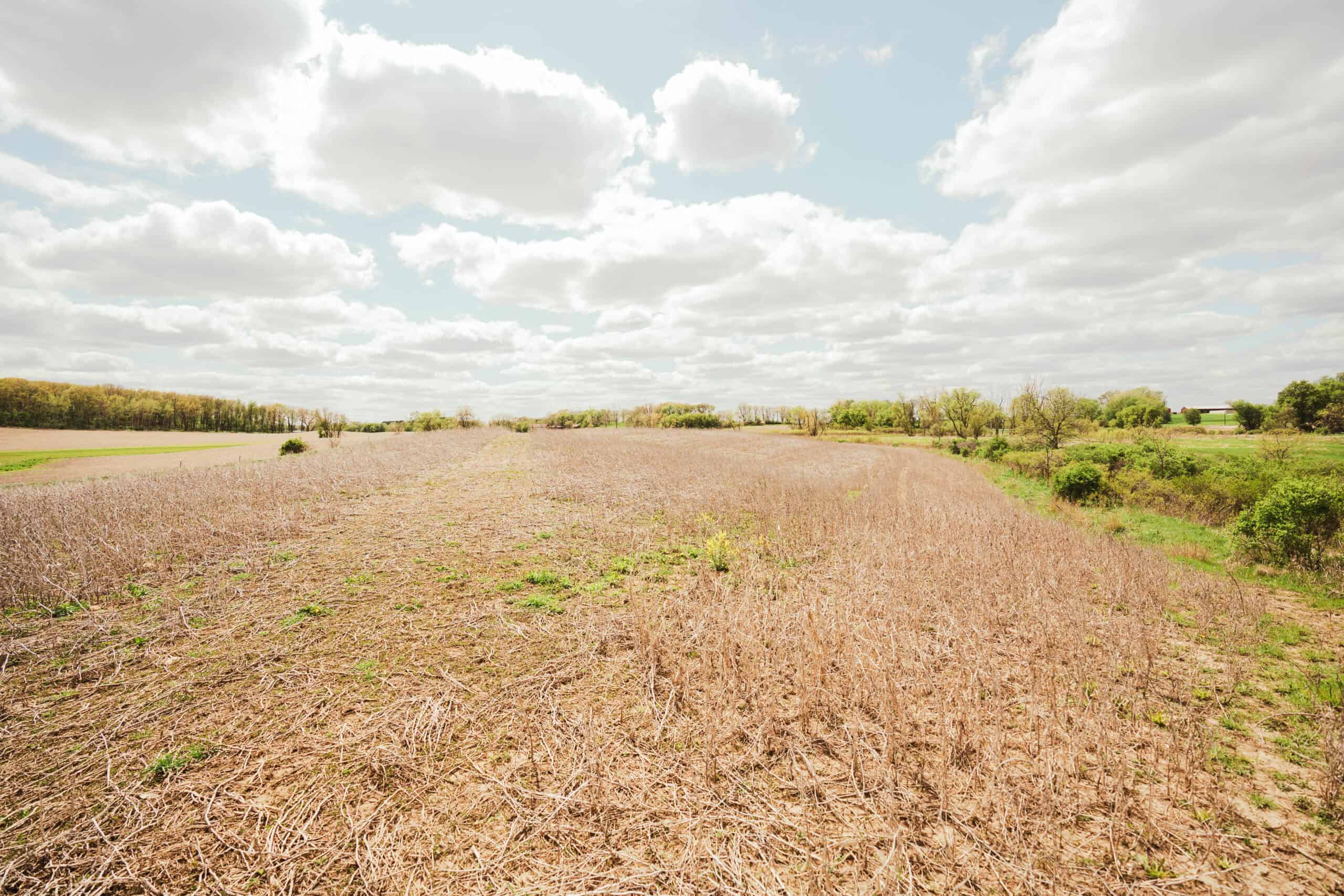 74 Acres in Dane County Town of York Rec, Hunting and Build Site for Sale