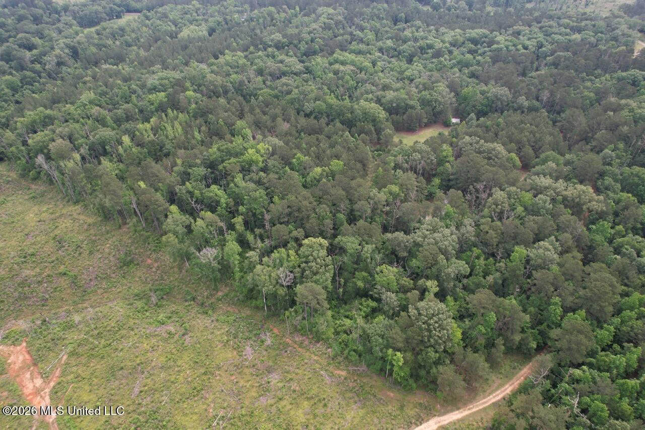 15 Acres with Pond & Homesite in Liberty, MS