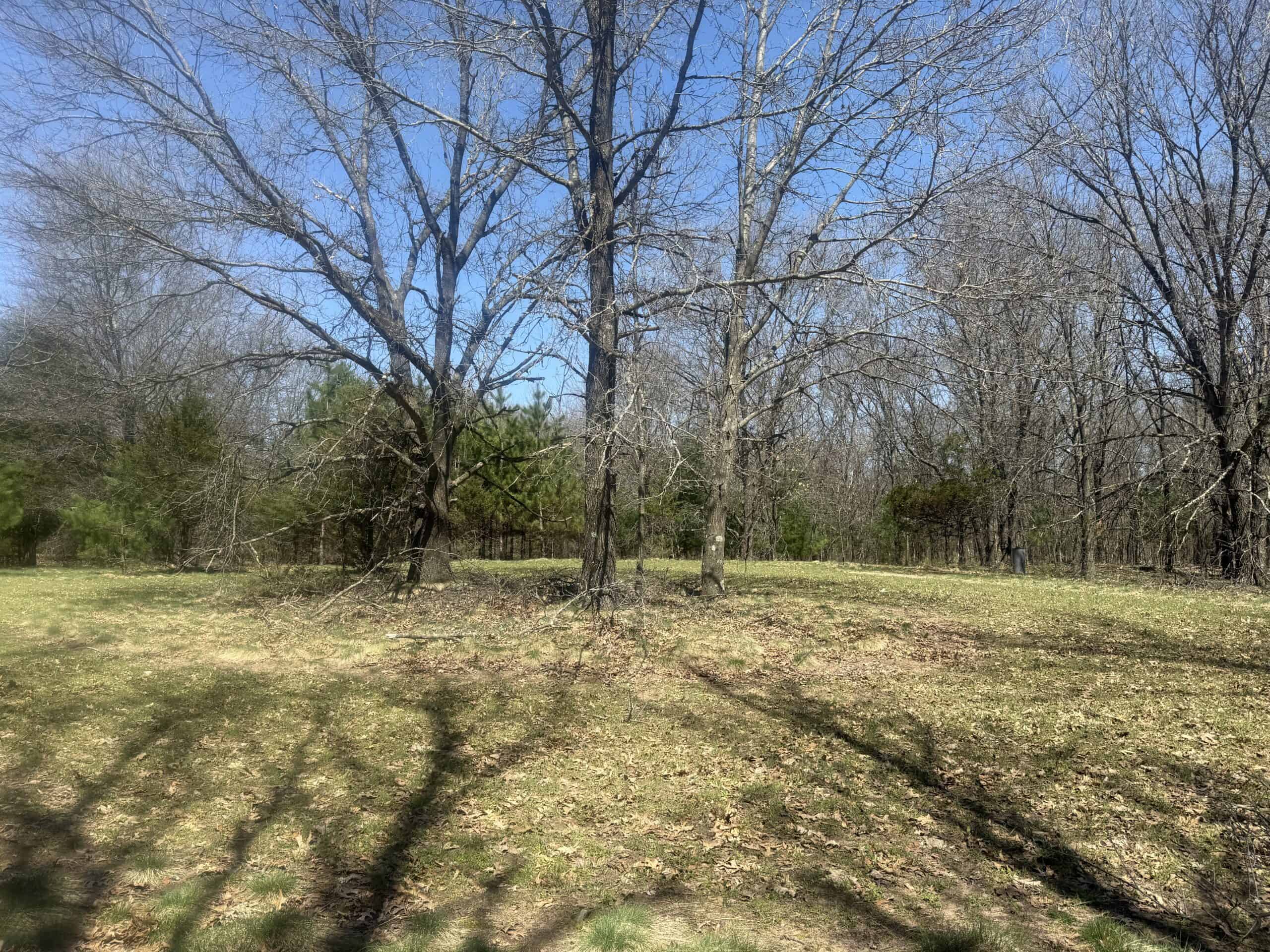88 Acre Marquette County  WI Hunting Property For Sale