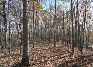 8 Unrestricted Wooded Acres For Sale!