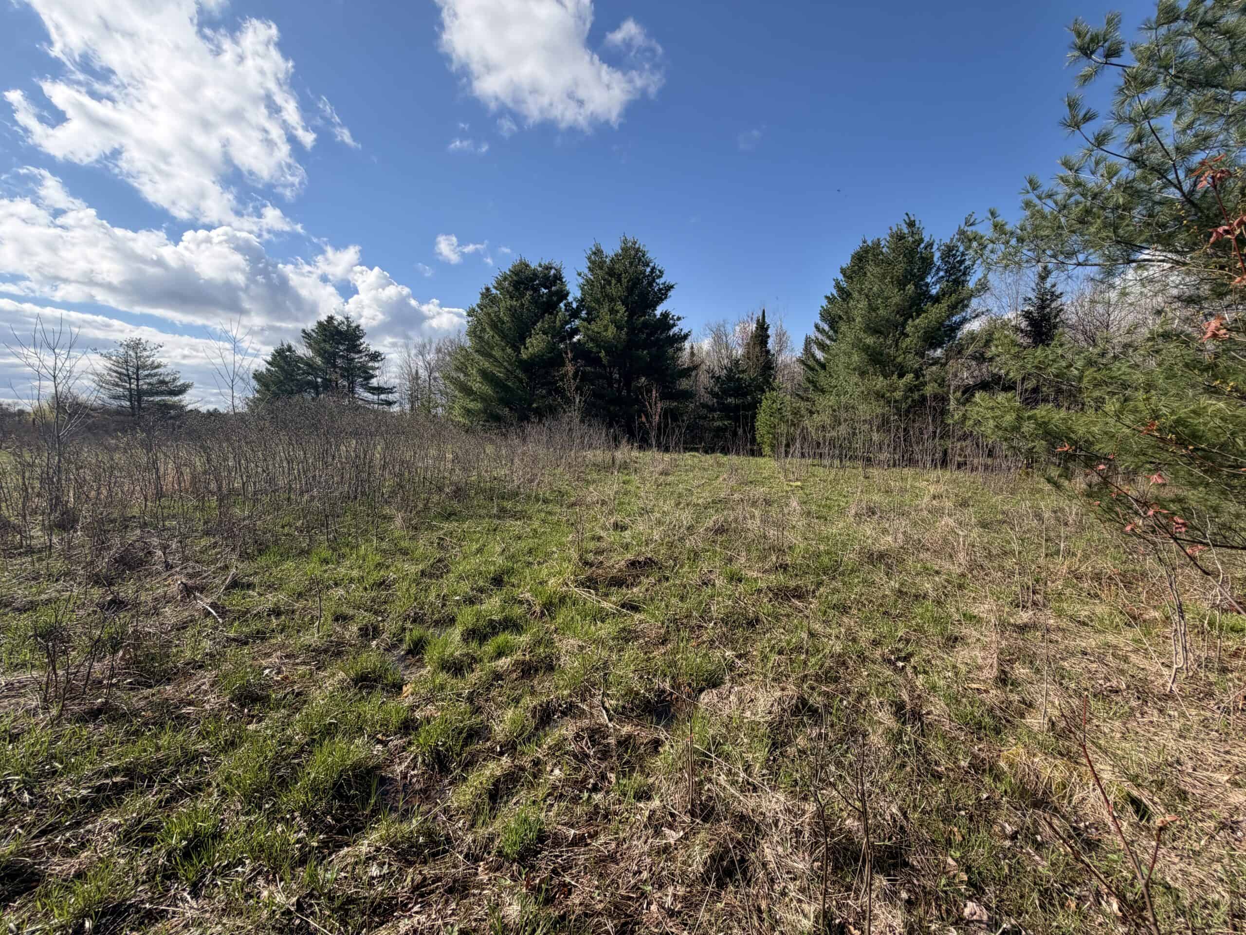 Portage County 40 Acre Hunting and Rec Property for Sale