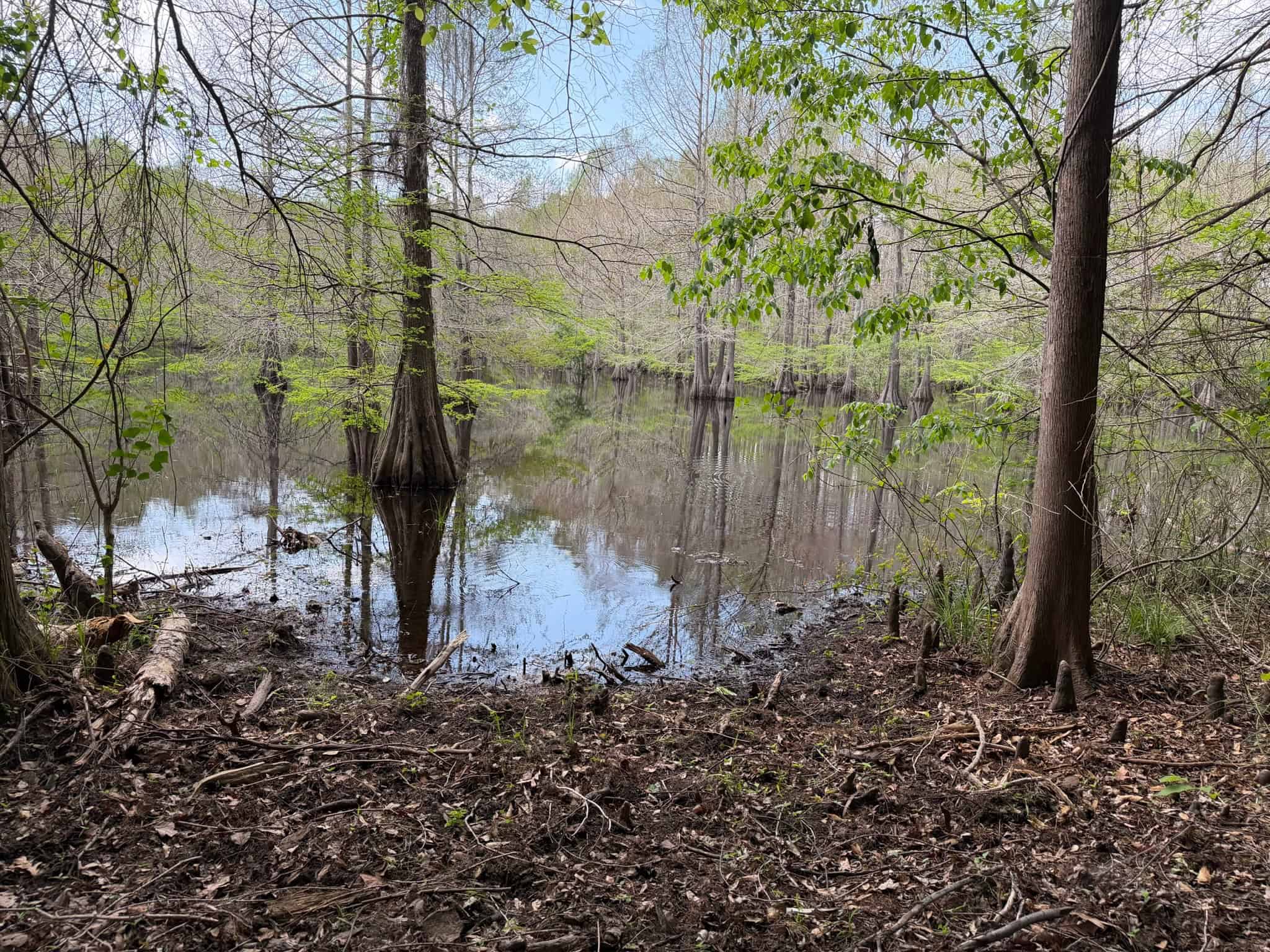 Saline Lake Hunting Property and Lodge Winn Parish LA