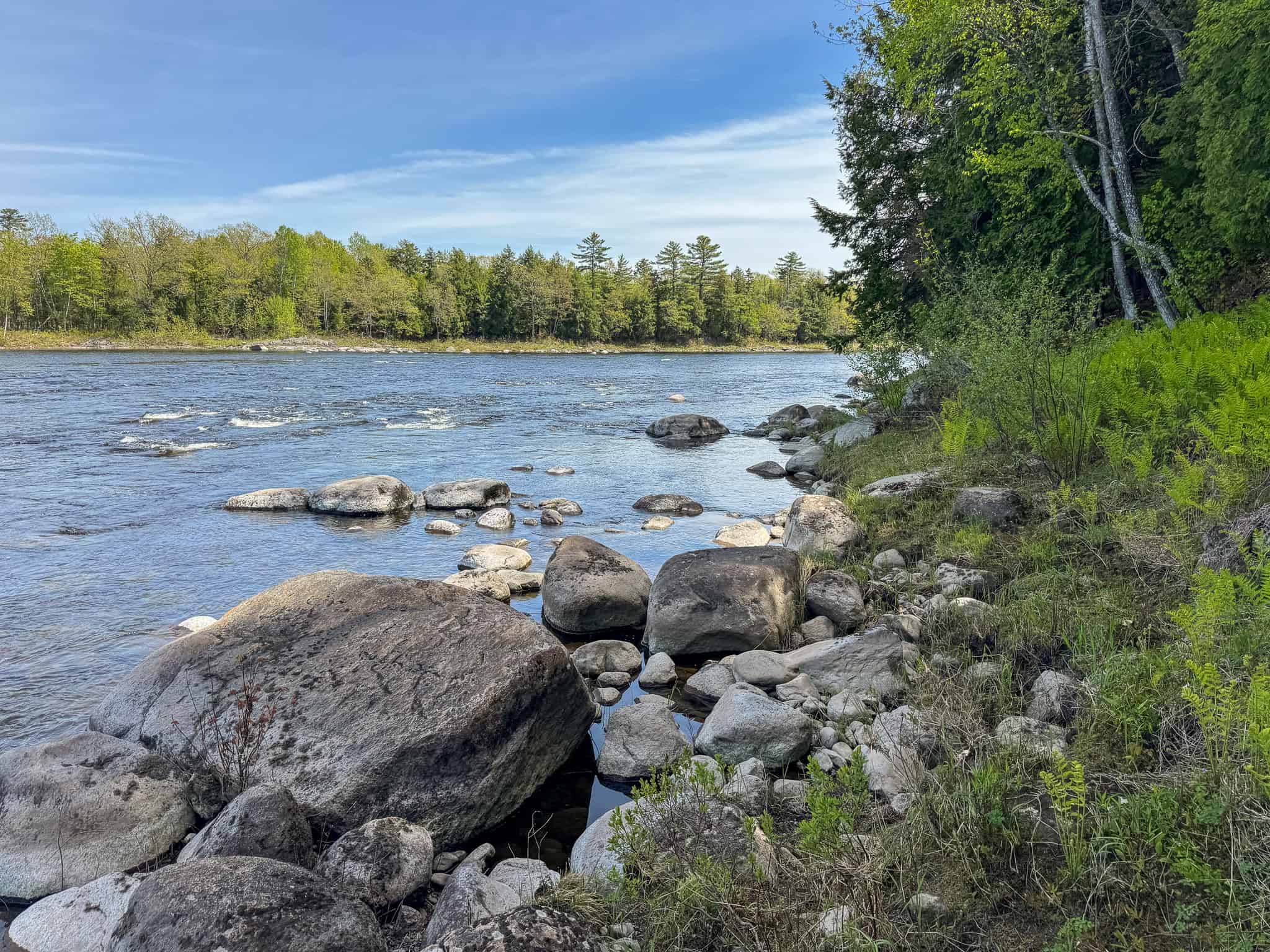 Maine River Property – 40.18 Acres – Woodville