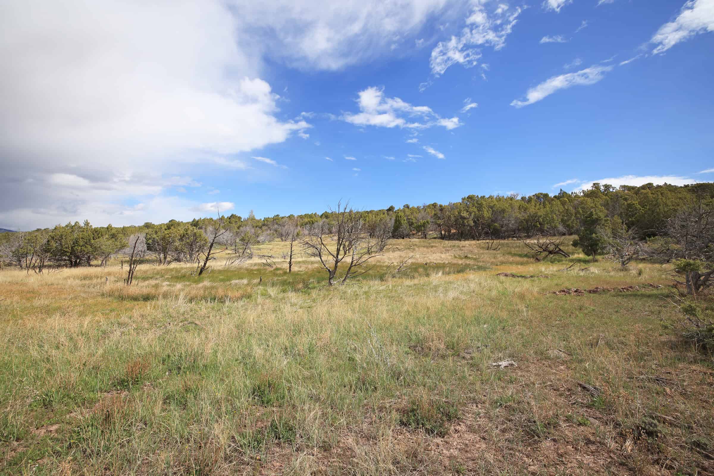 Vacant Land For Sale in Western Colorado with Tiny Home Included