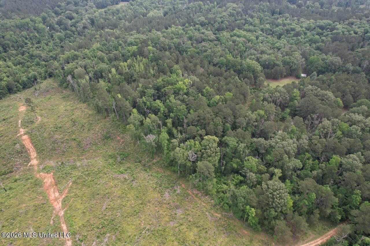 15 Acres with Pond & Homesite in Liberty, MS