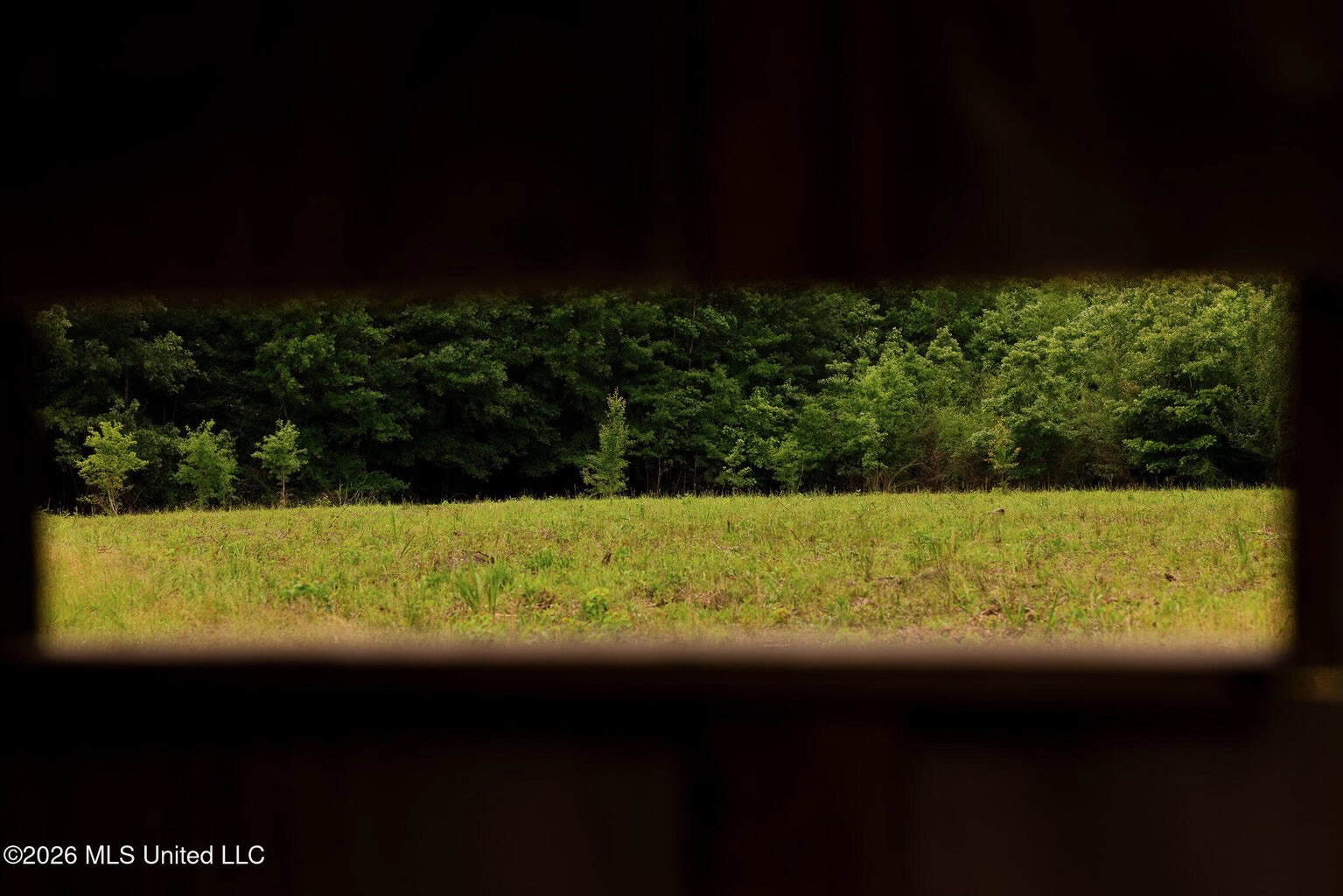 Land for Sale in Amite County, MS