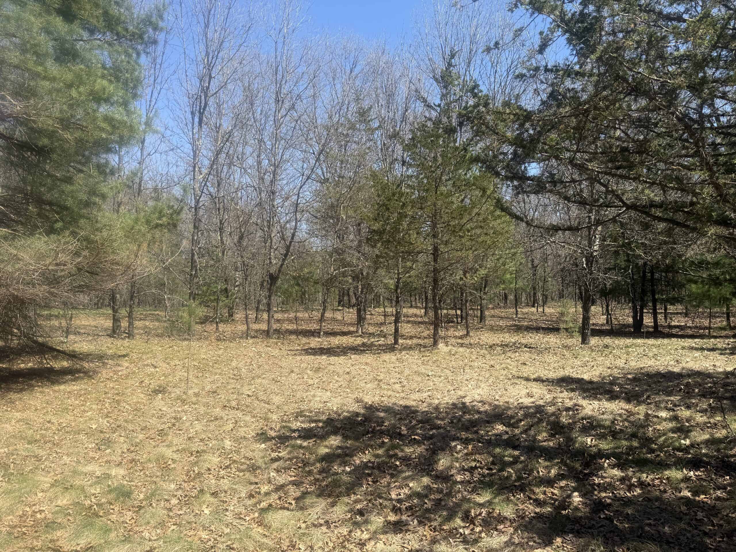 88 Acre Marquette County  WI Hunting Property For Sale
