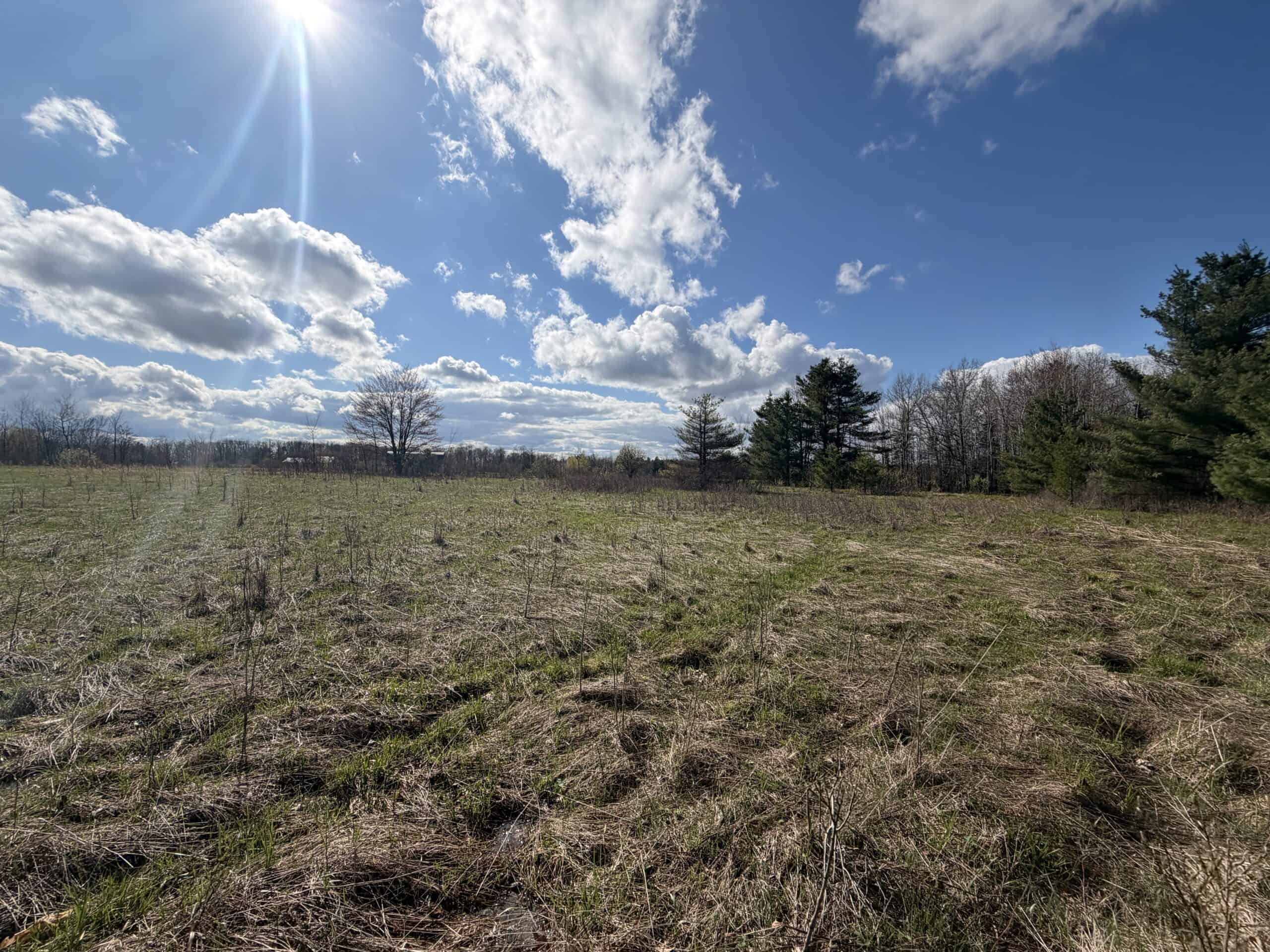Portage County 40 Acre Hunting and Rec Property for Sale