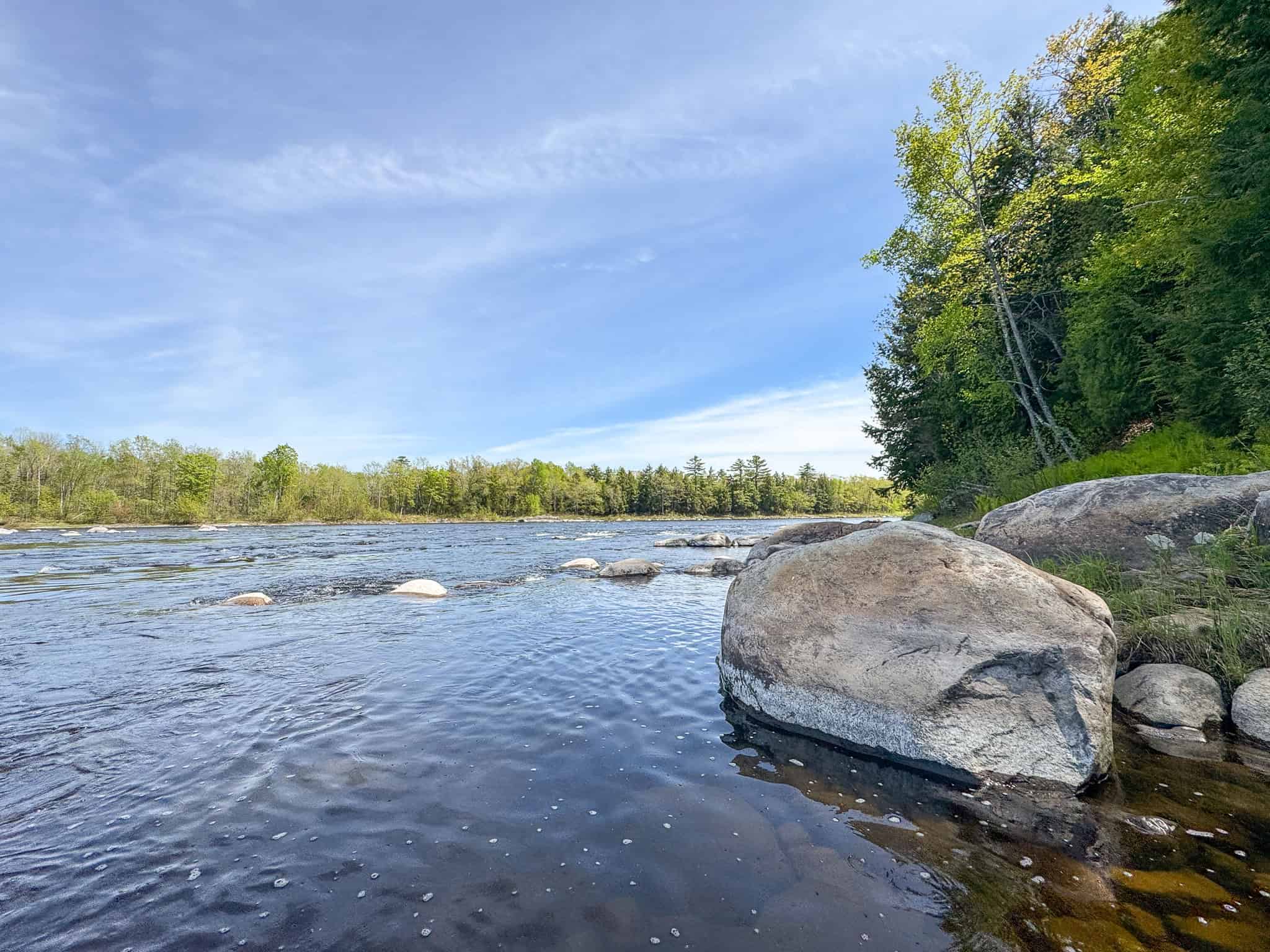 Maine River Property – 40.18 Acres – Woodville