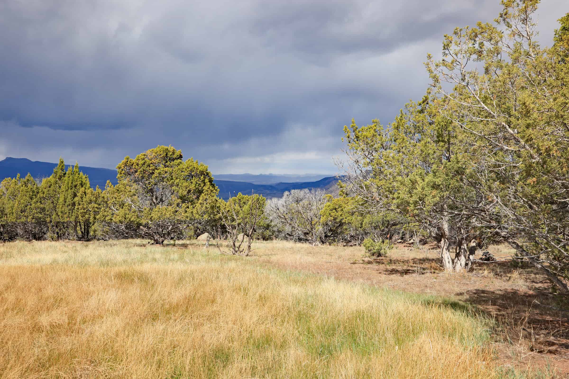Vacant Land For Sale in Western Colorado with Tiny Home Included