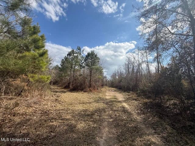 470 Acres on Calcasieu River in Allen Parish, LA