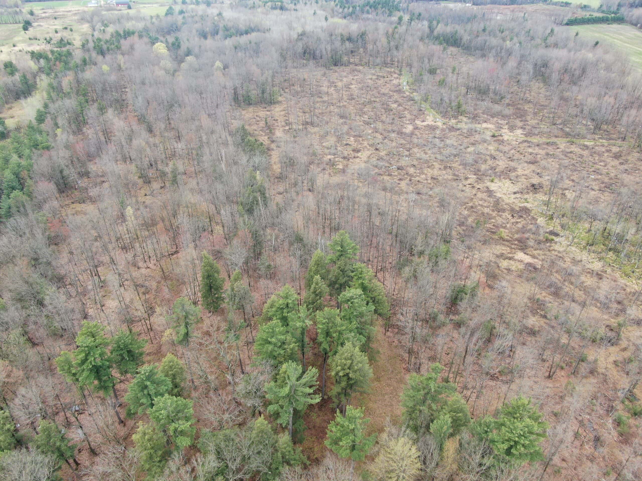 120 acres located in the Town of Dewey, Portage County, WI