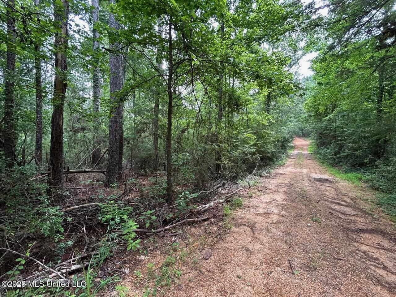15 Acres with Pond & Homesite in Liberty, MS