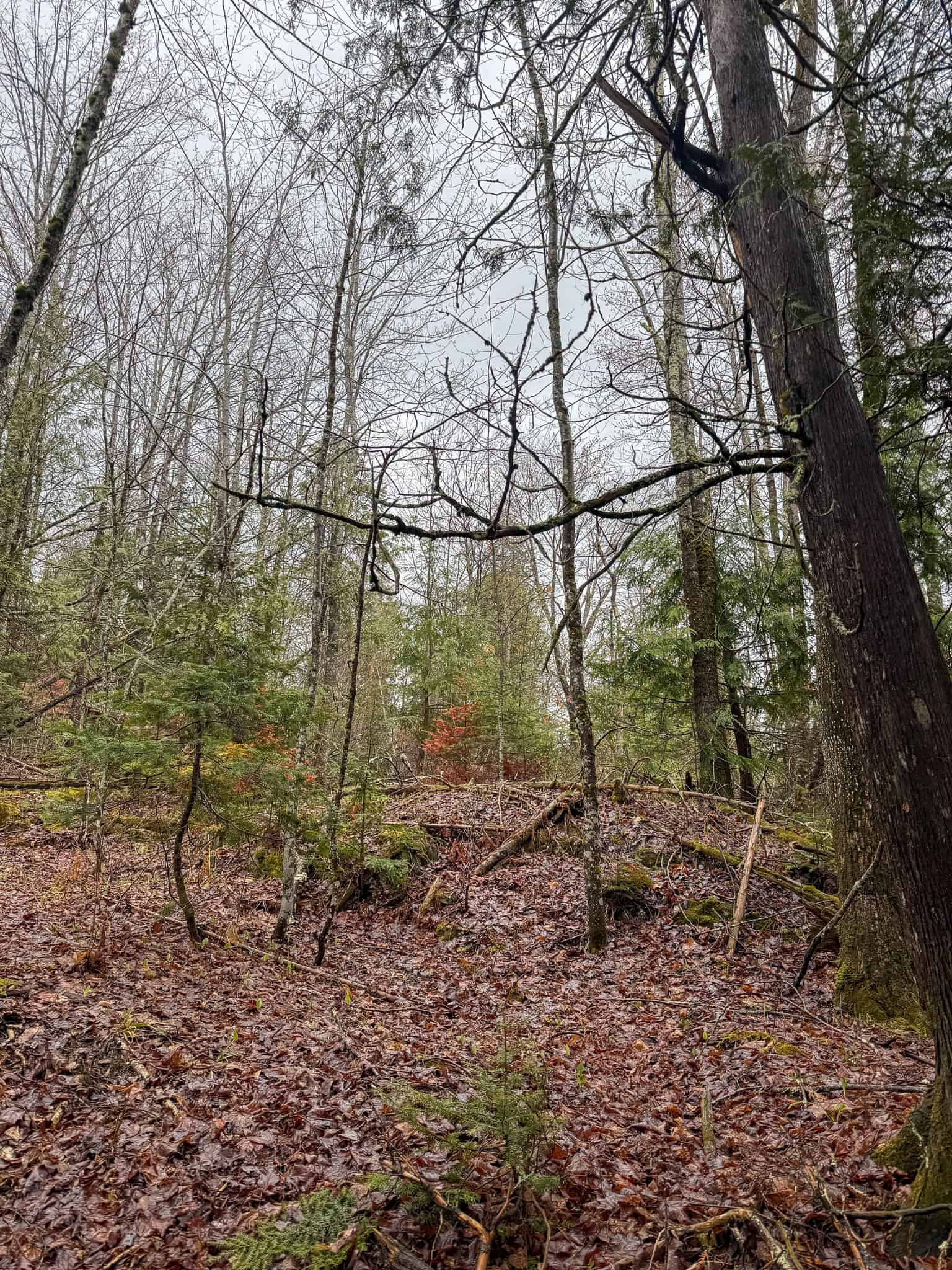 19 Acre Recreational Property – Detroit, Maine