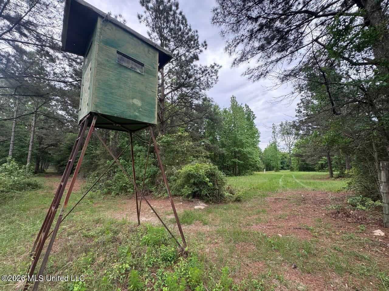160 Acre in Bienville Parish Near Arcadia, Louisiana