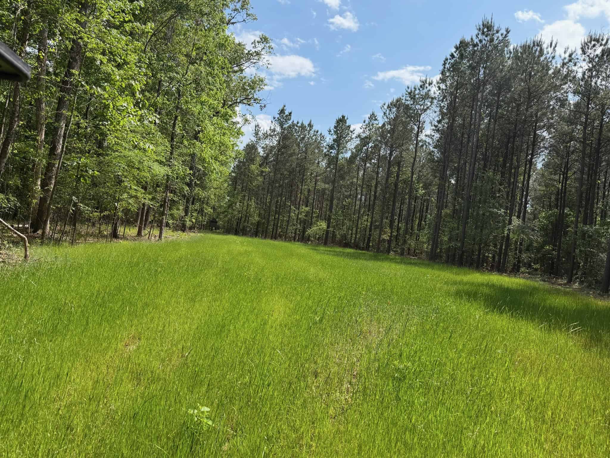 Saline Lake Hunting Property and Lodge Winn Parish LA