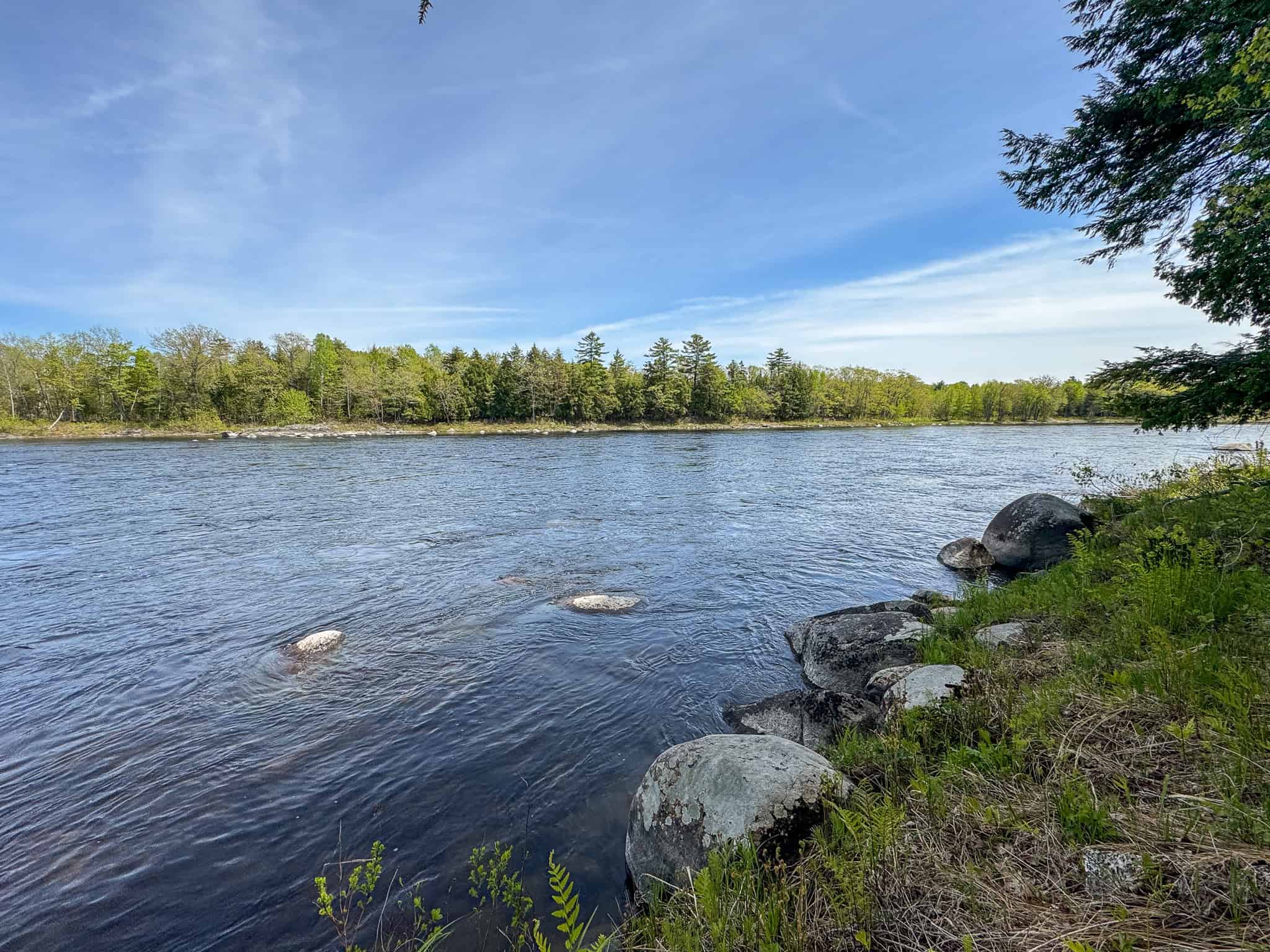 Maine River Property – 40.18 Acres – Woodville