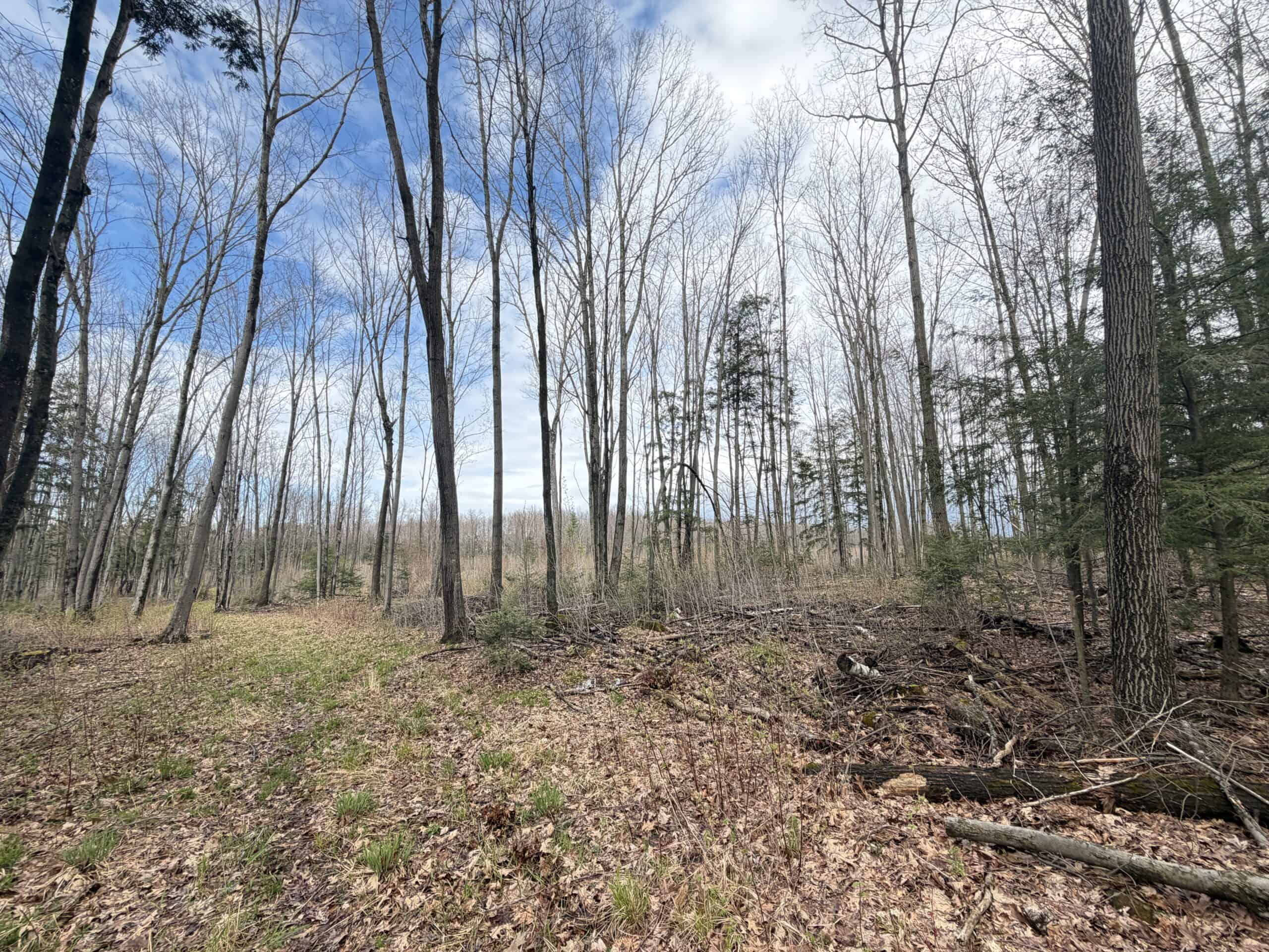 120 acres located in the Town of Dewey, Portage County, WI