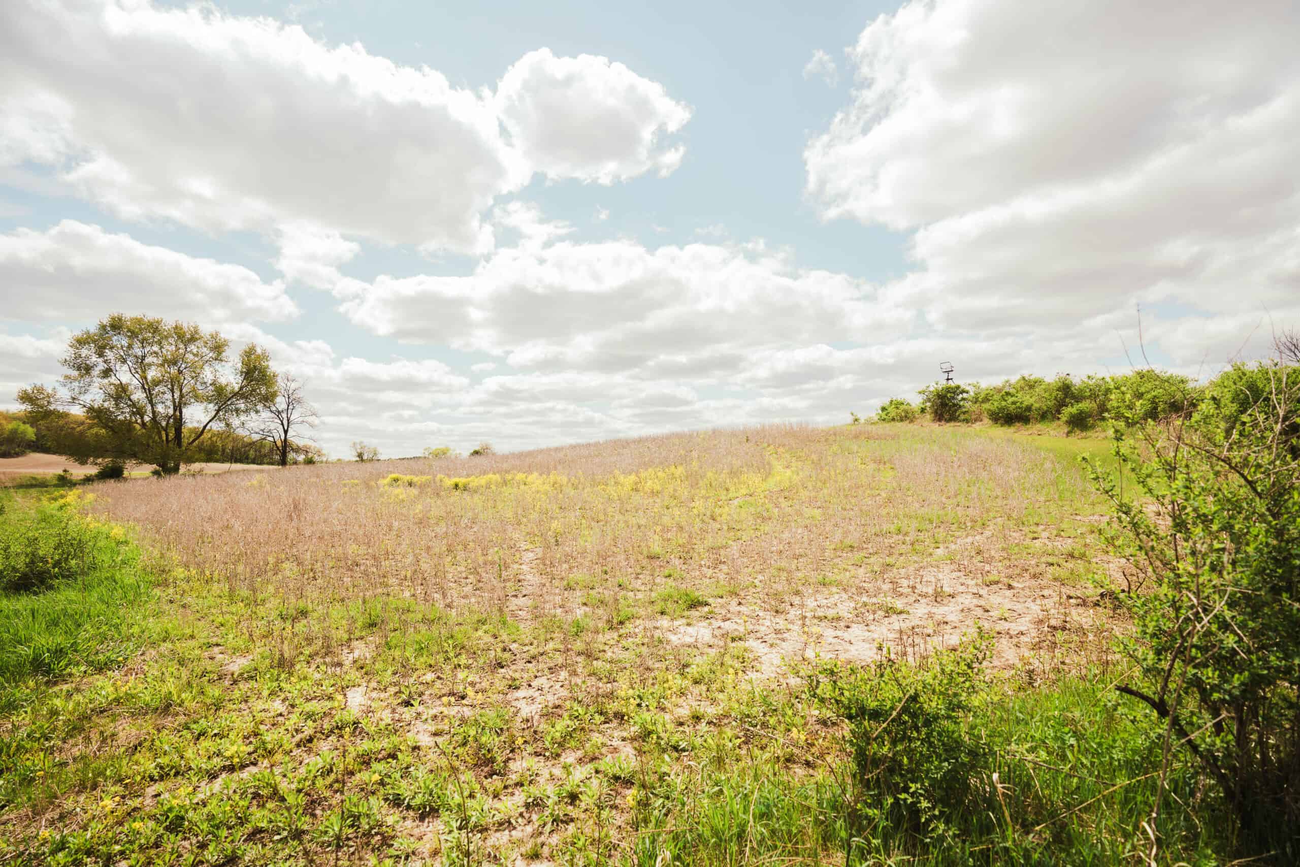 74 Acres in Dane County Town of York Rec, Hunting and Build Site for Sale