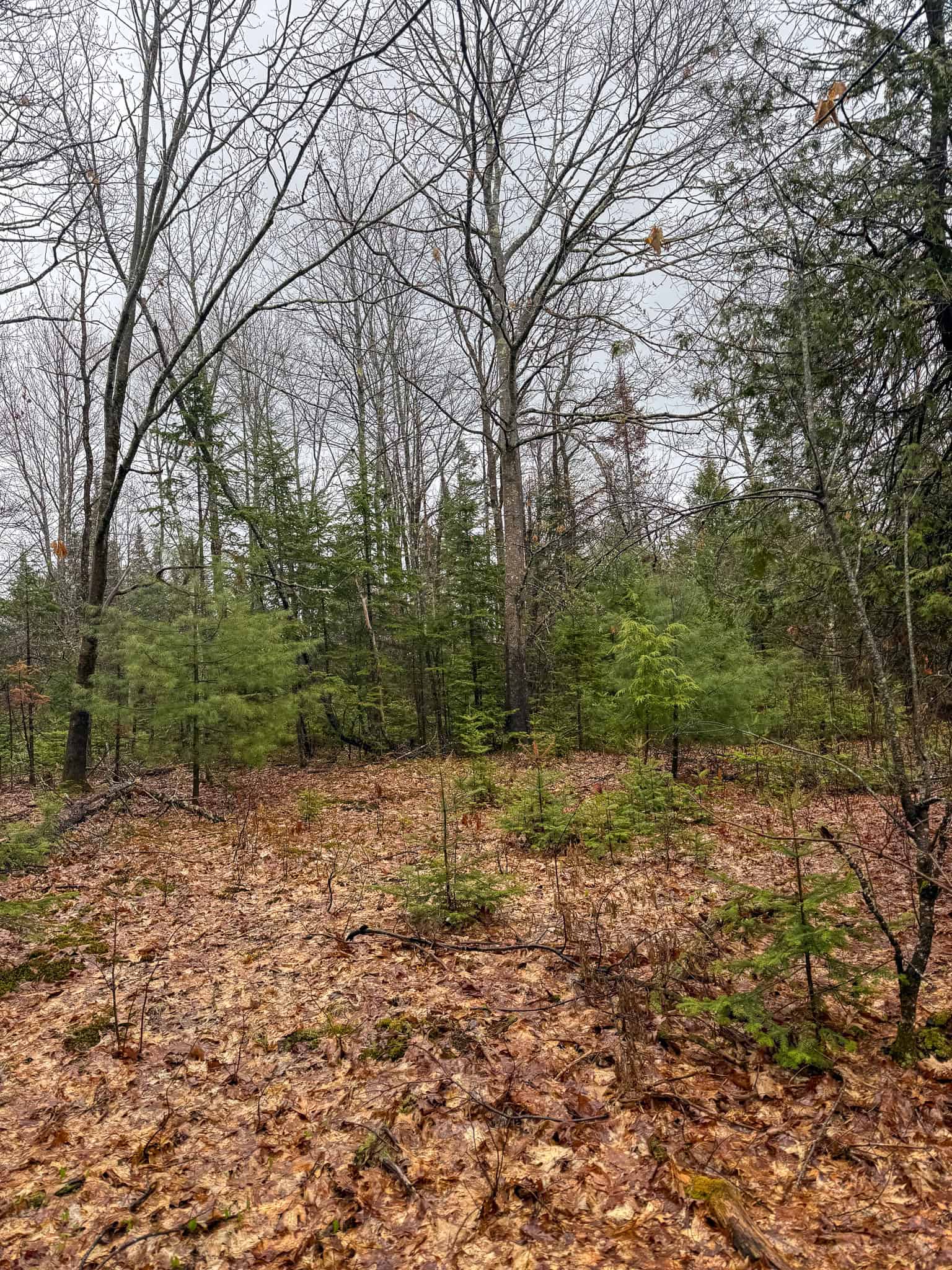 19 Acre Recreational Property – Detroit, Maine