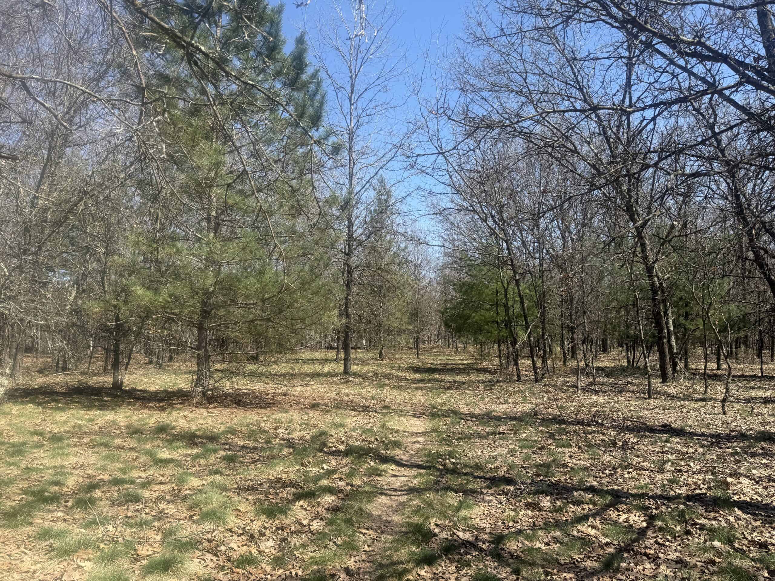 88 Acre Marquette County  WI Hunting Property For Sale