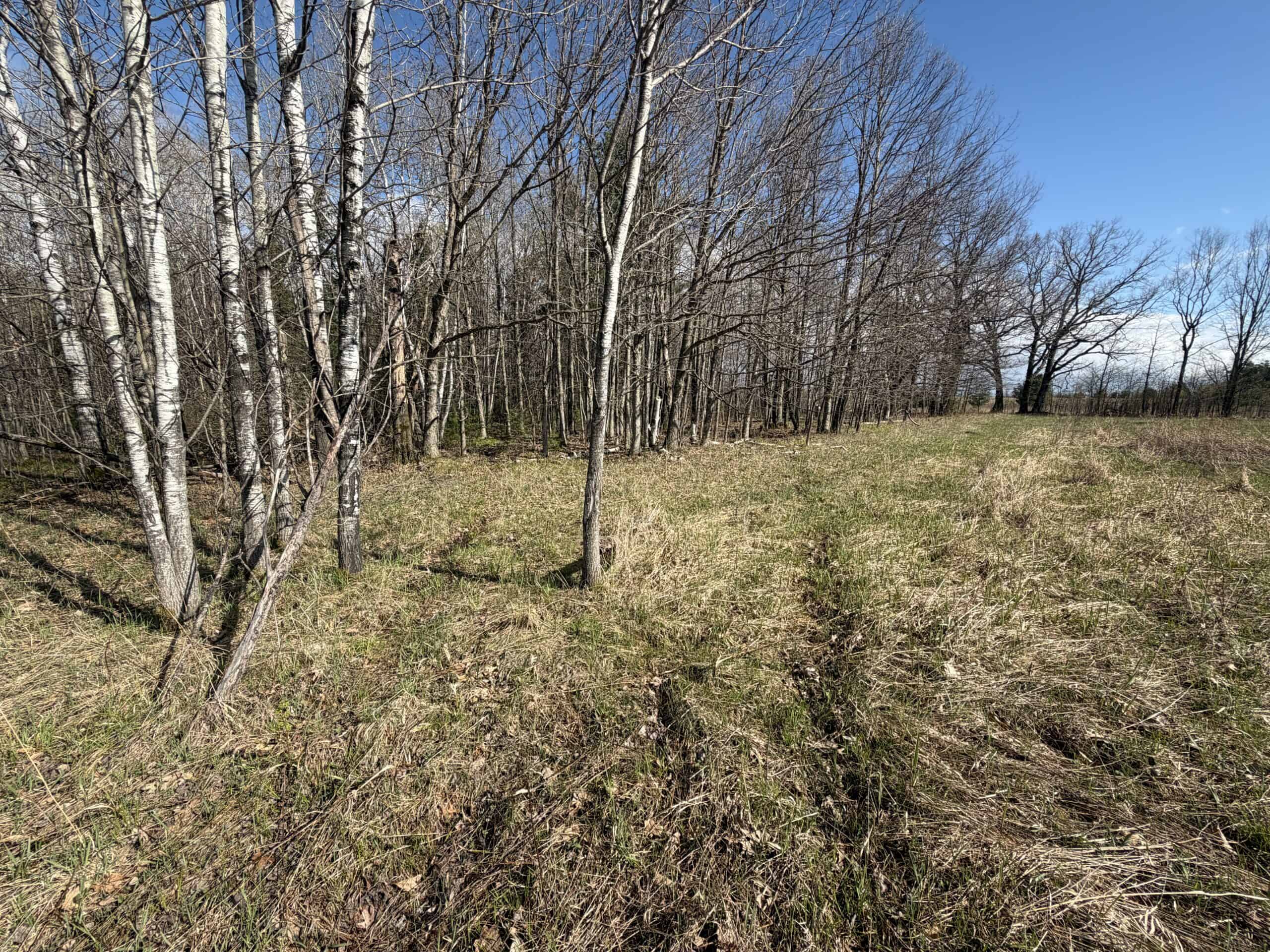 Portage County 40 Acre Hunting and Rec Property for Sale