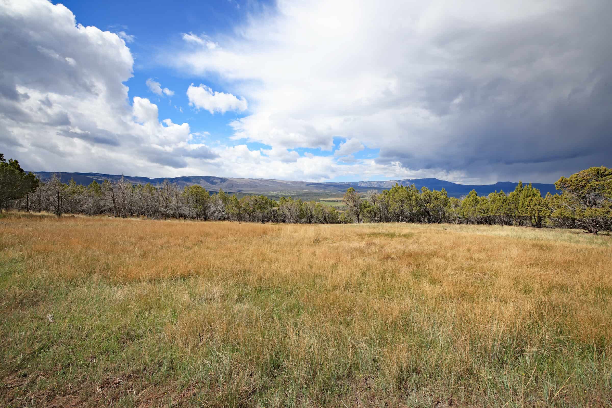 Vacant Land For Sale in Western Colorado with Tiny Home Included