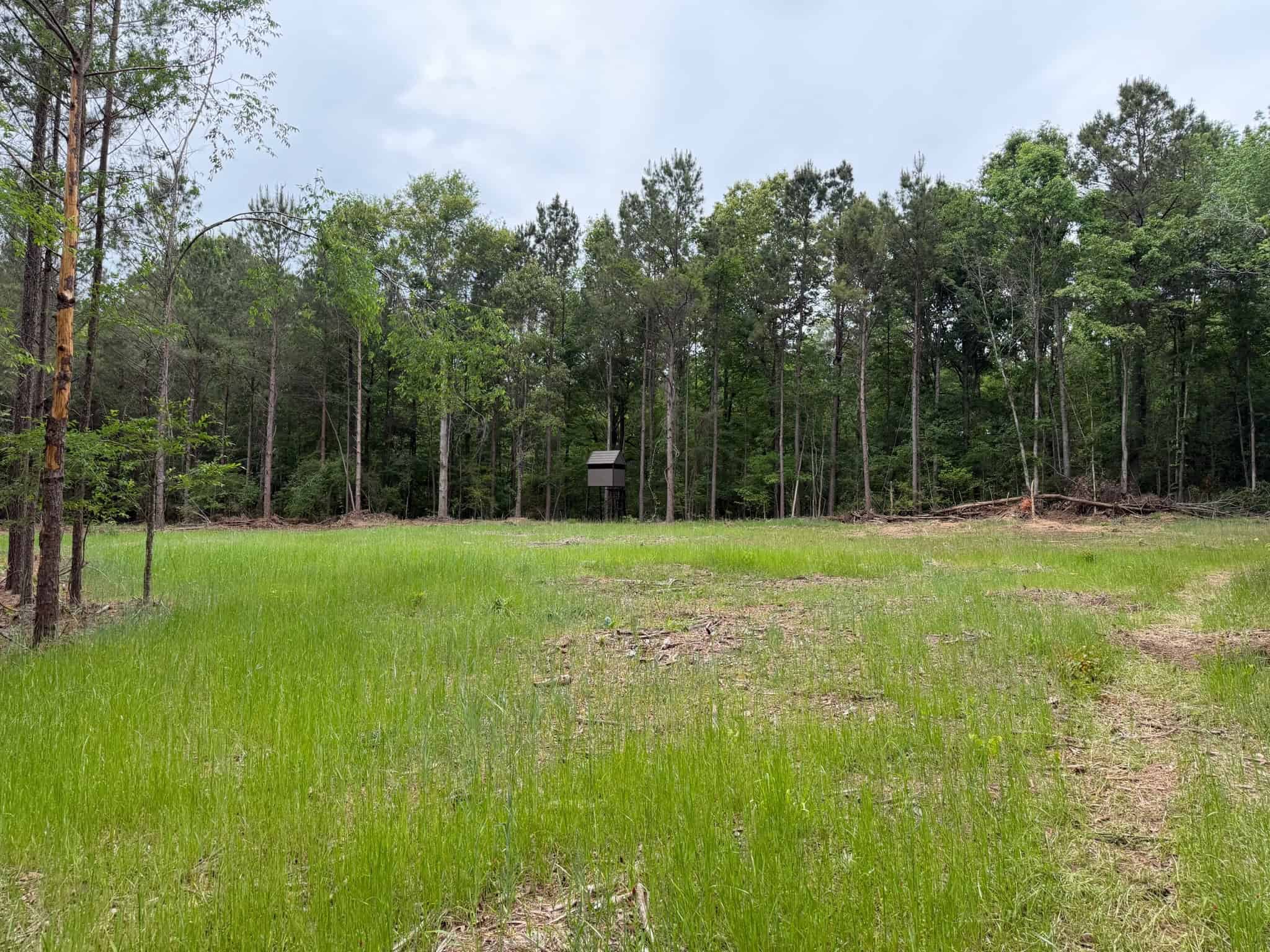 LA Recreation & Timber Property Joining Saline Lake