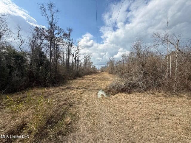 470 Acres on Calcasieu River in Allen Parish, LA