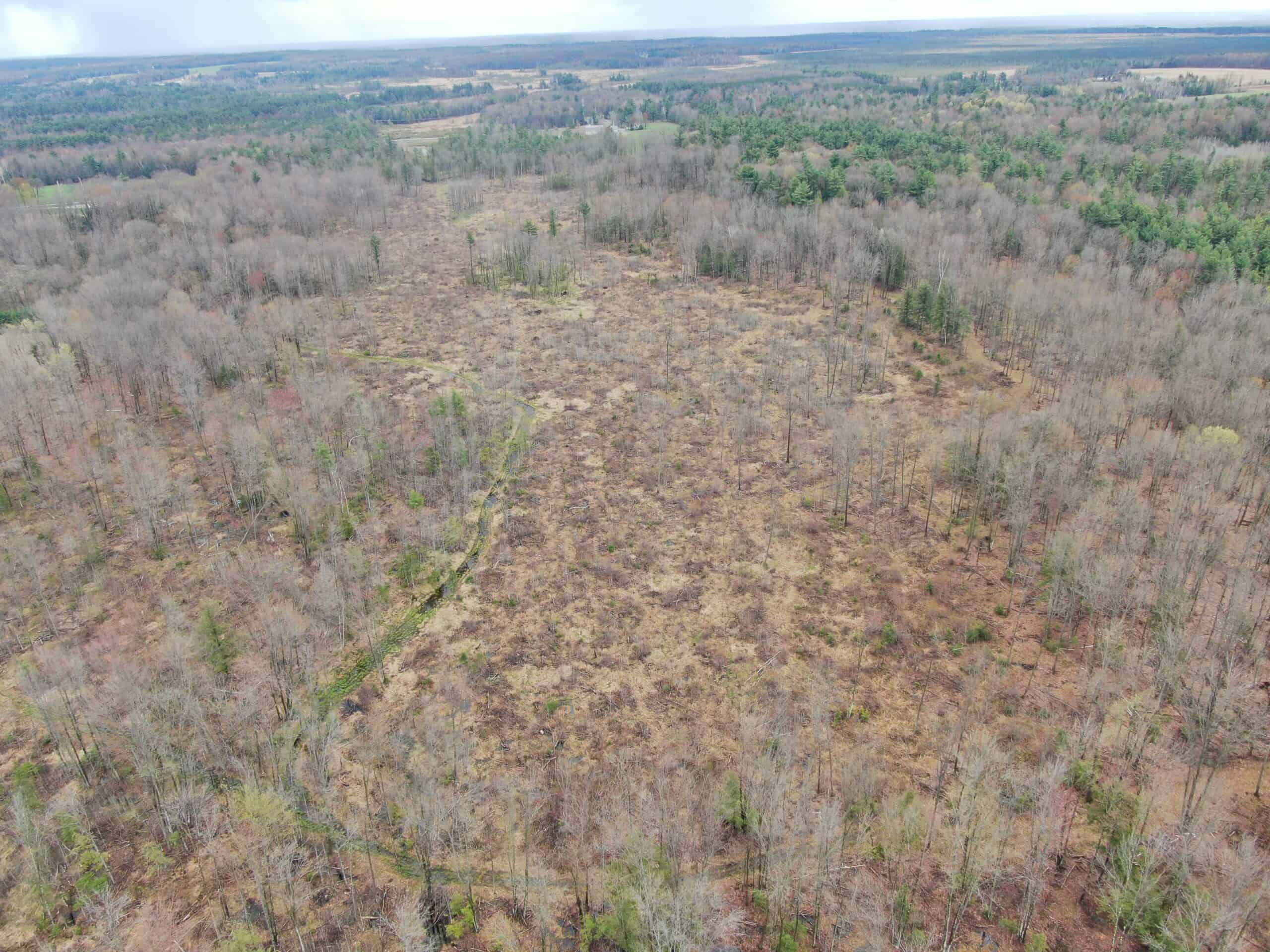 120 acres located in the Town of Dewey, Portage County, WI