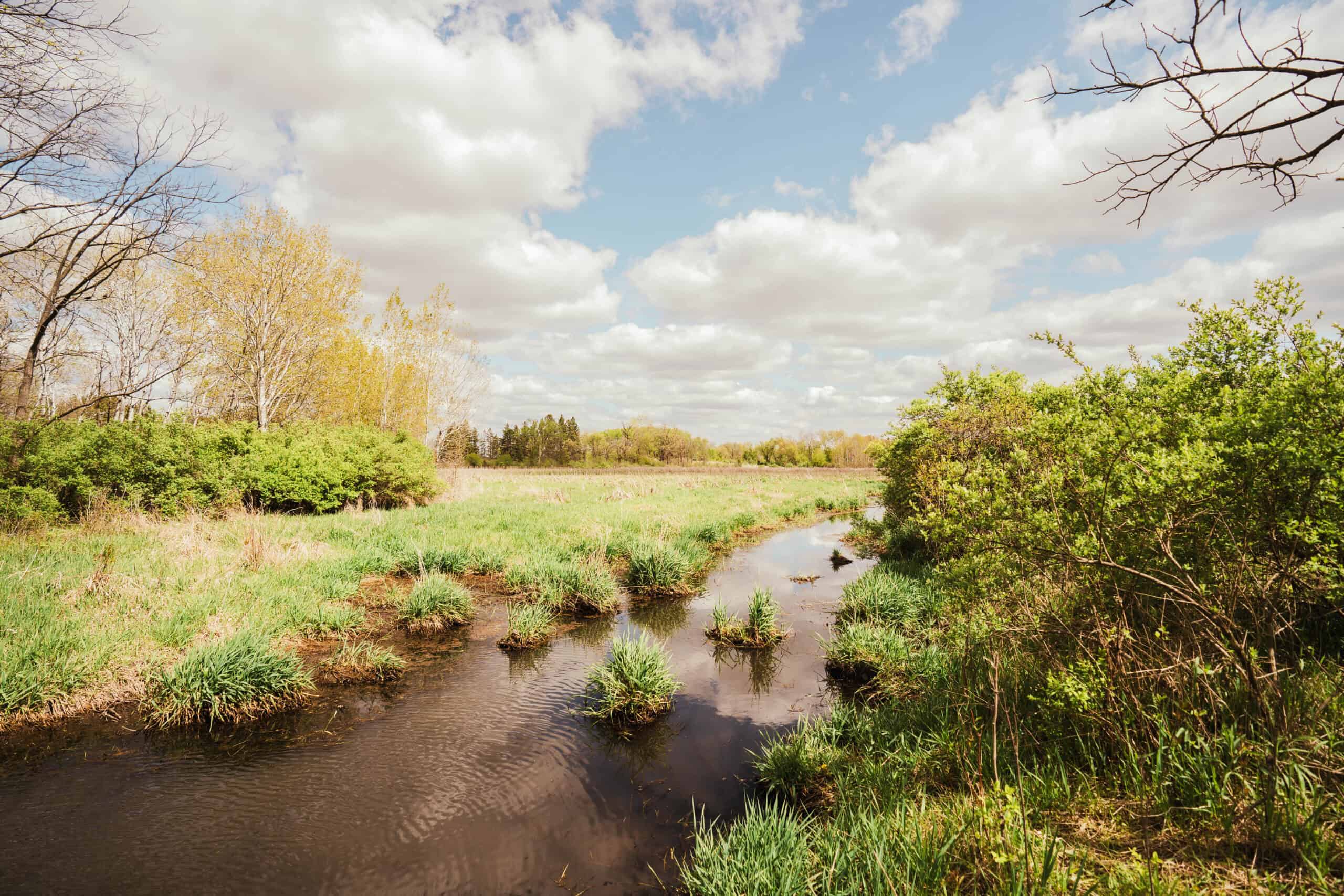 74 Acres in Dane County Town of York Rec, Hunting and Build Site for Sale