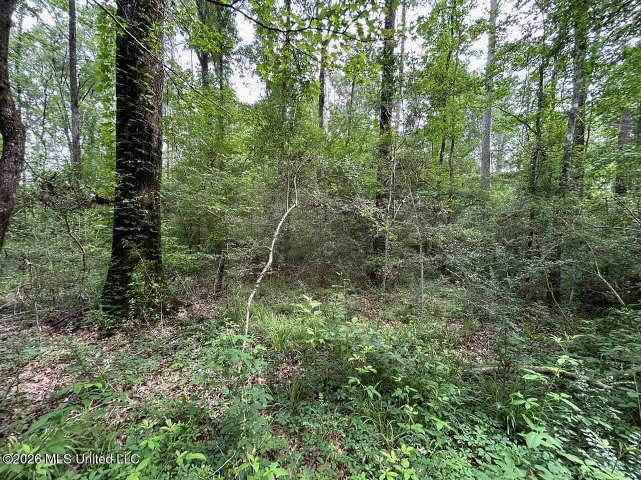 15 Acres with Pond & Homesite in Liberty, MS