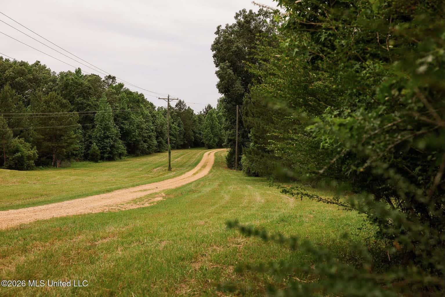 Land for Sale in Amite County, MS