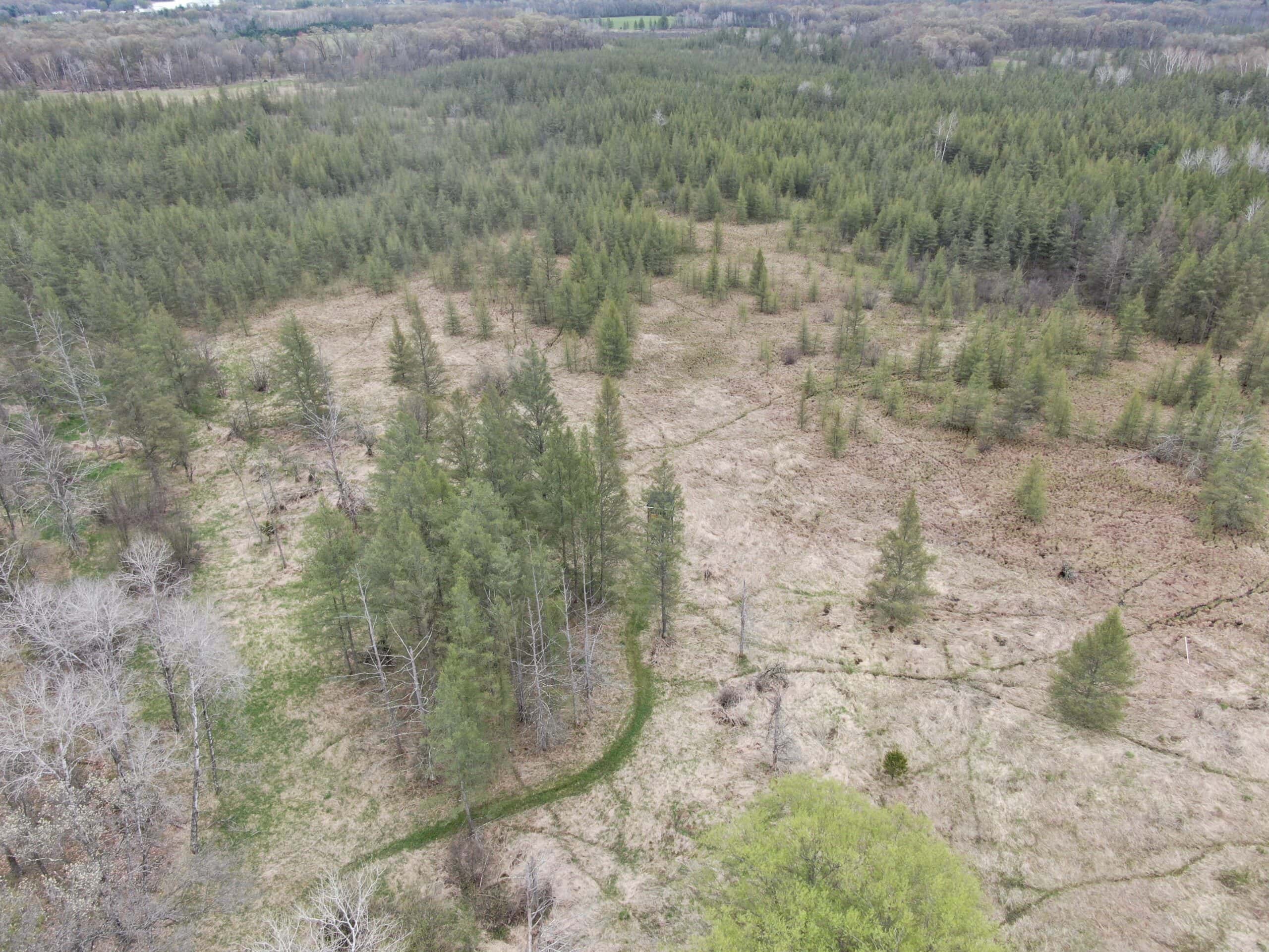 88 Acre Marquette County  WI Hunting Property For Sale