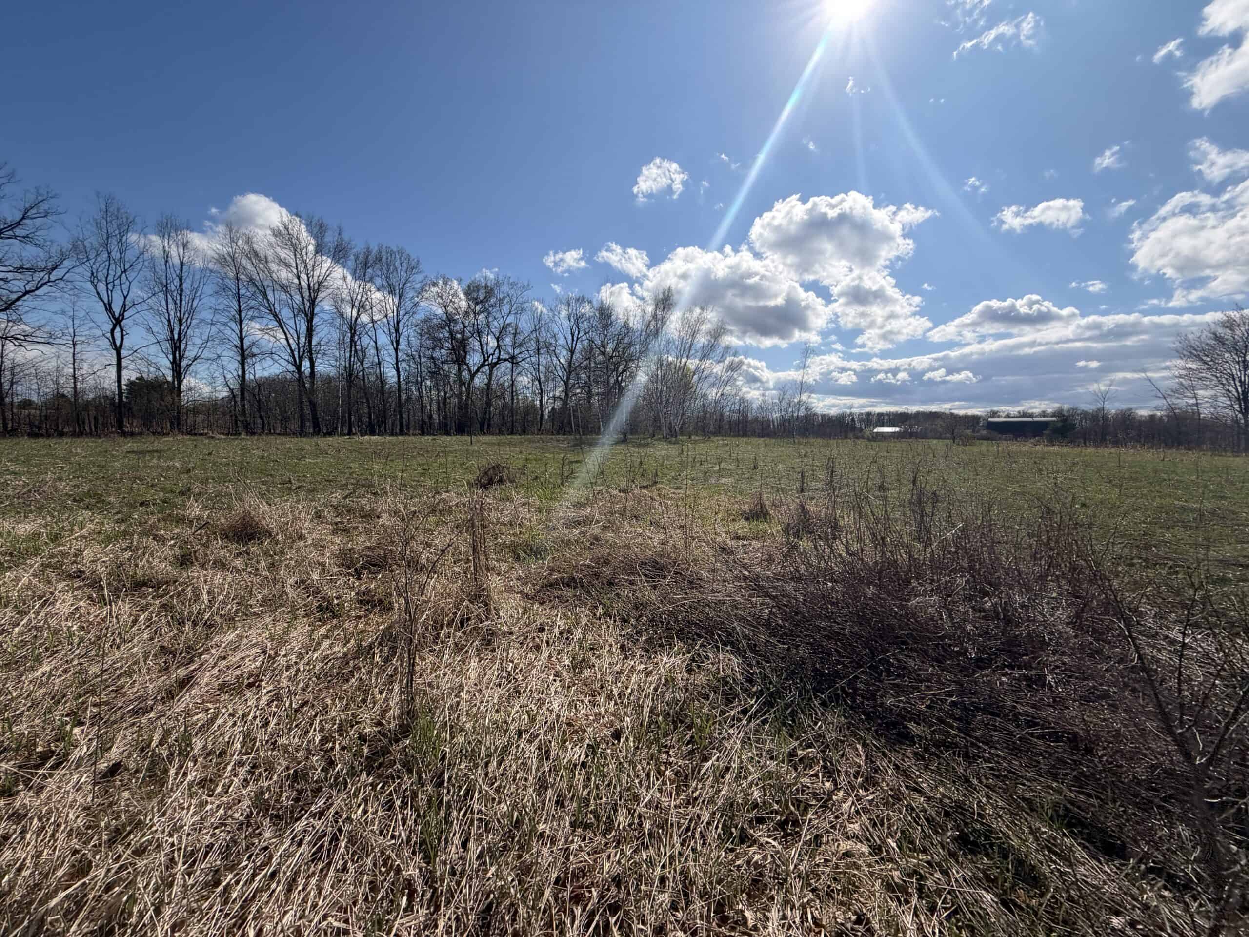 Portage County 40 Acre Hunting and Rec Property for Sale